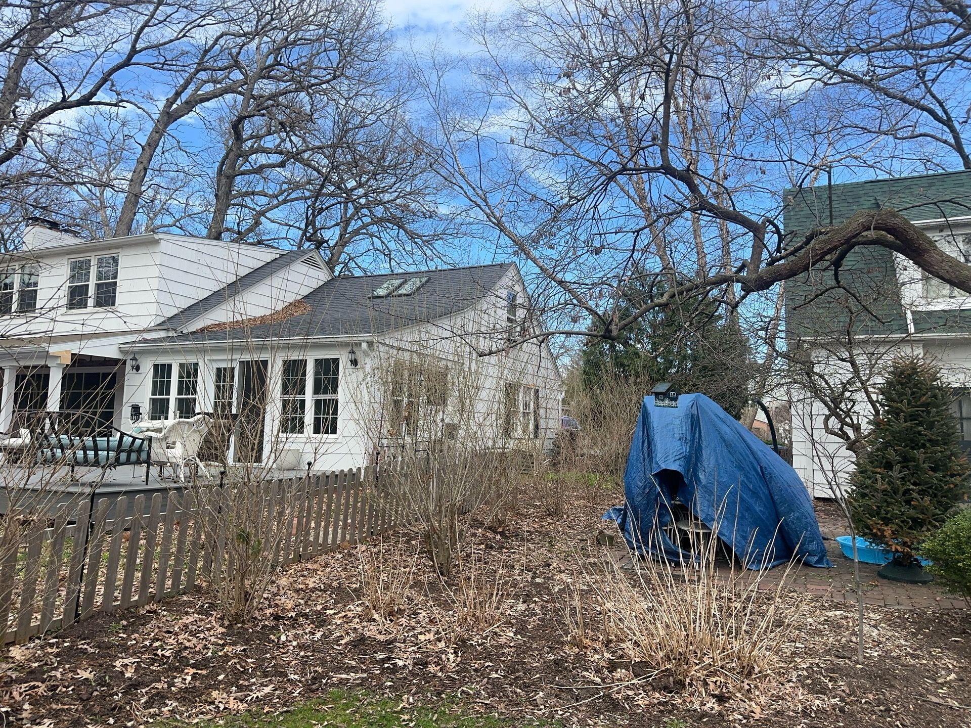 ELLEN HOGBIN by Erie Home