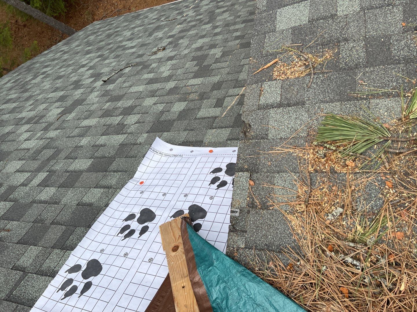 Green Snap Lock Standing Seam  by Montana Roofing Solutions