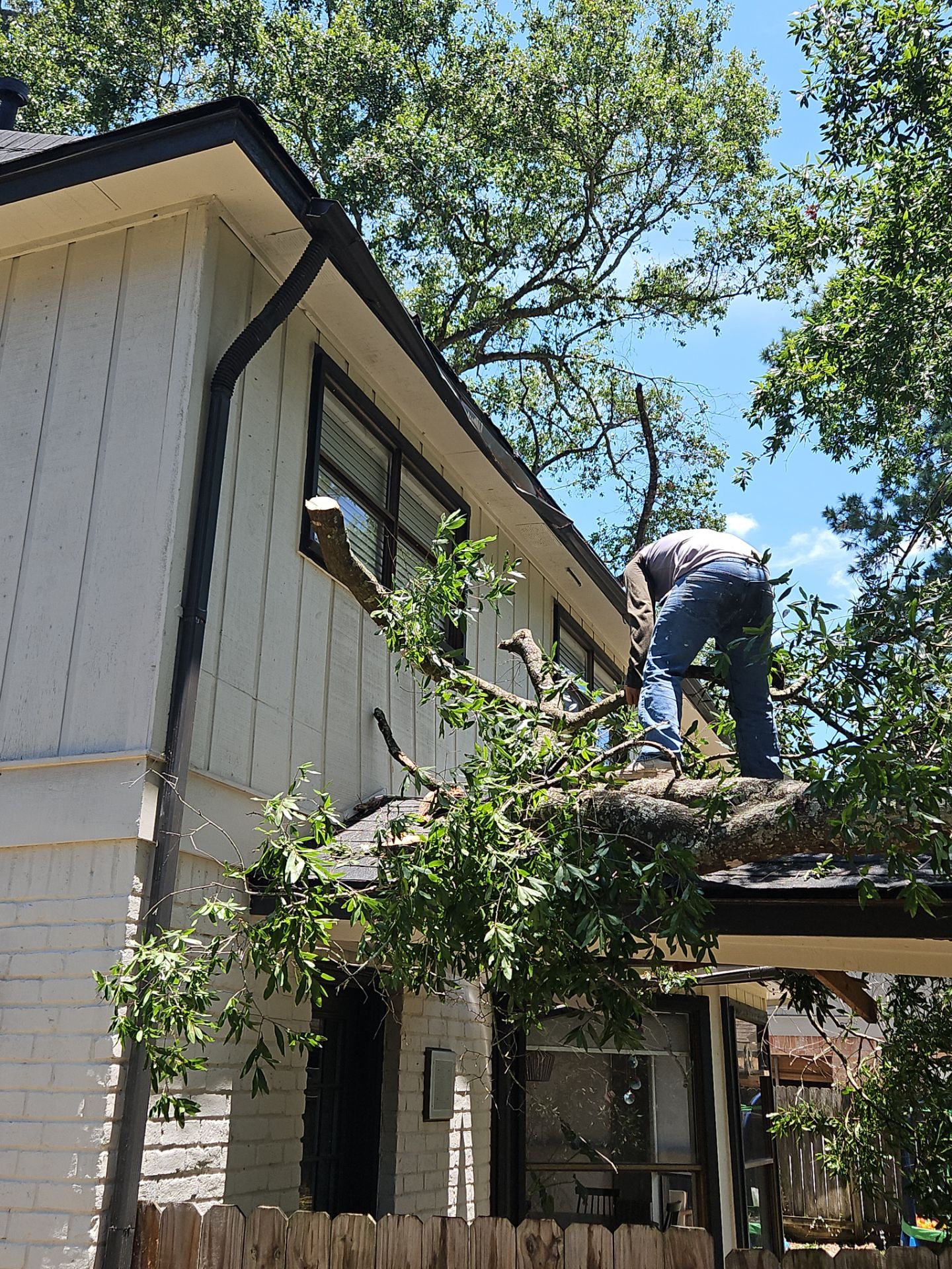 Tree Damage Garage Rebuild & Home Repair by Majesty Construction