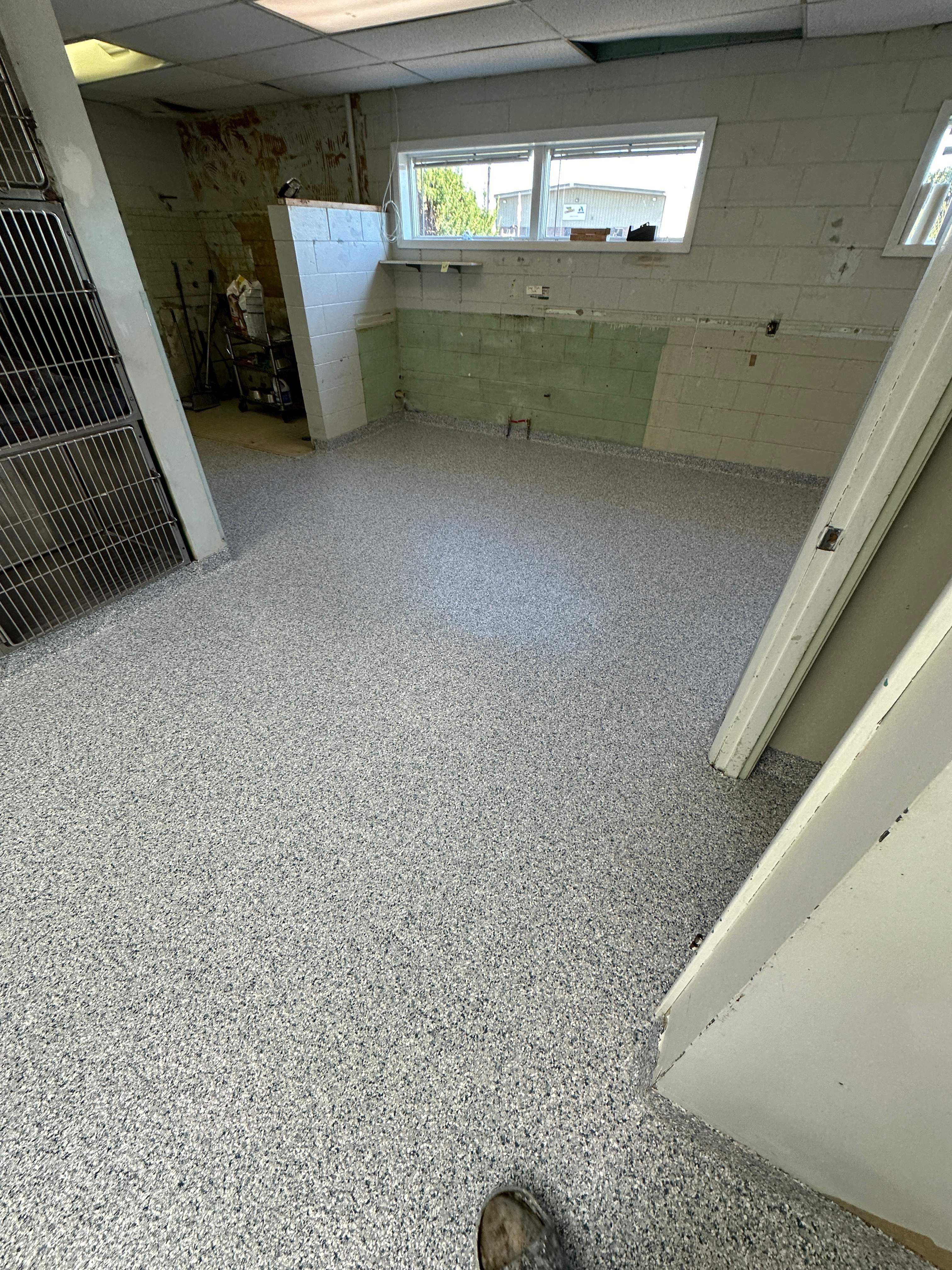 Steamboat Canine Shelter Normal by Loud Bros