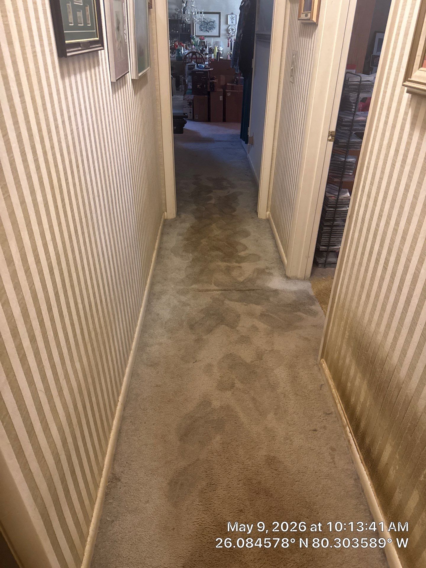 Water Damage Restoration and Structural Drying Services in Davie by SuperClean 