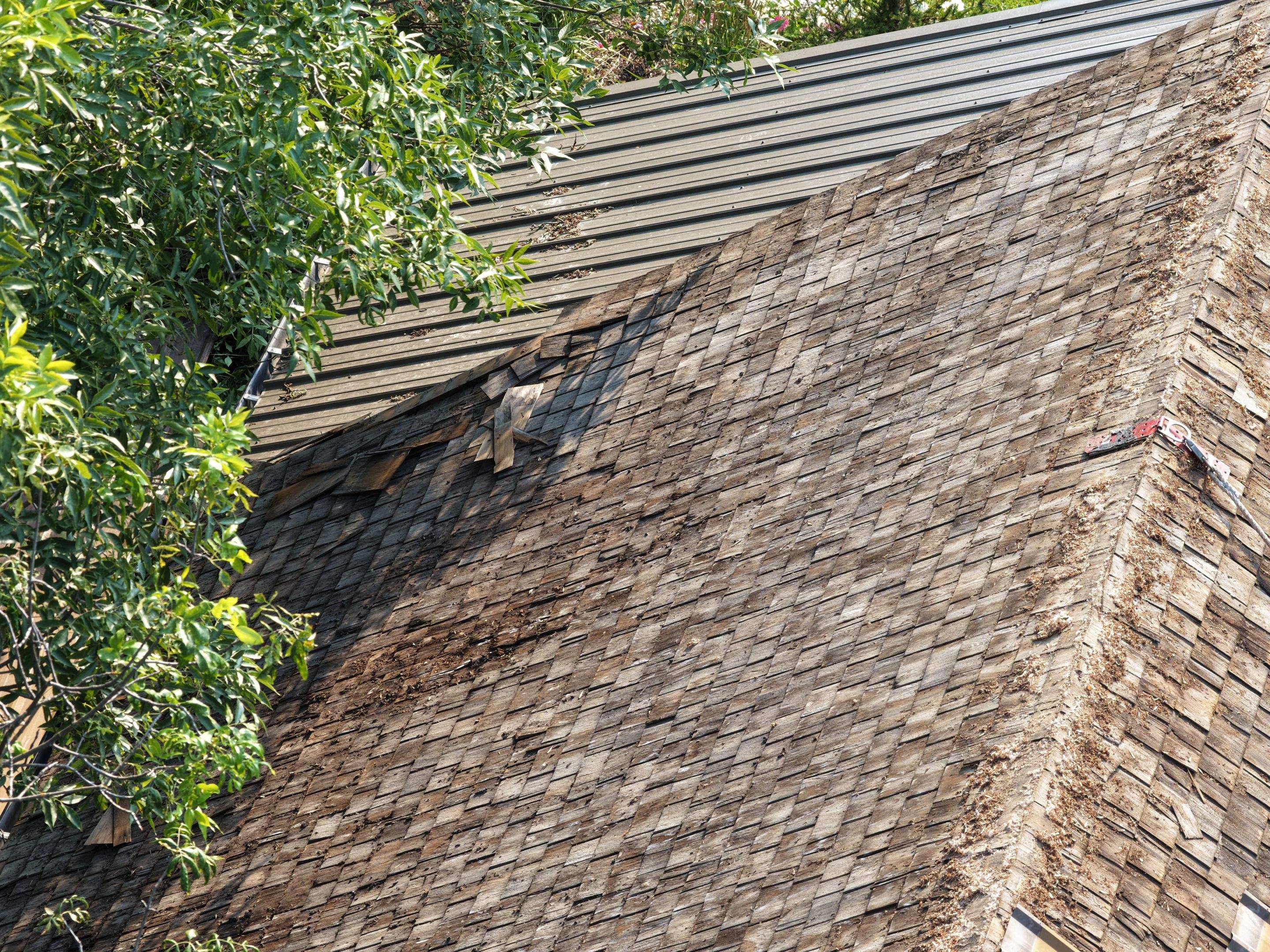 Roof Replacement - GAF Timberline HDZ - Chestnut Valley  by Montana Roofing Solutions