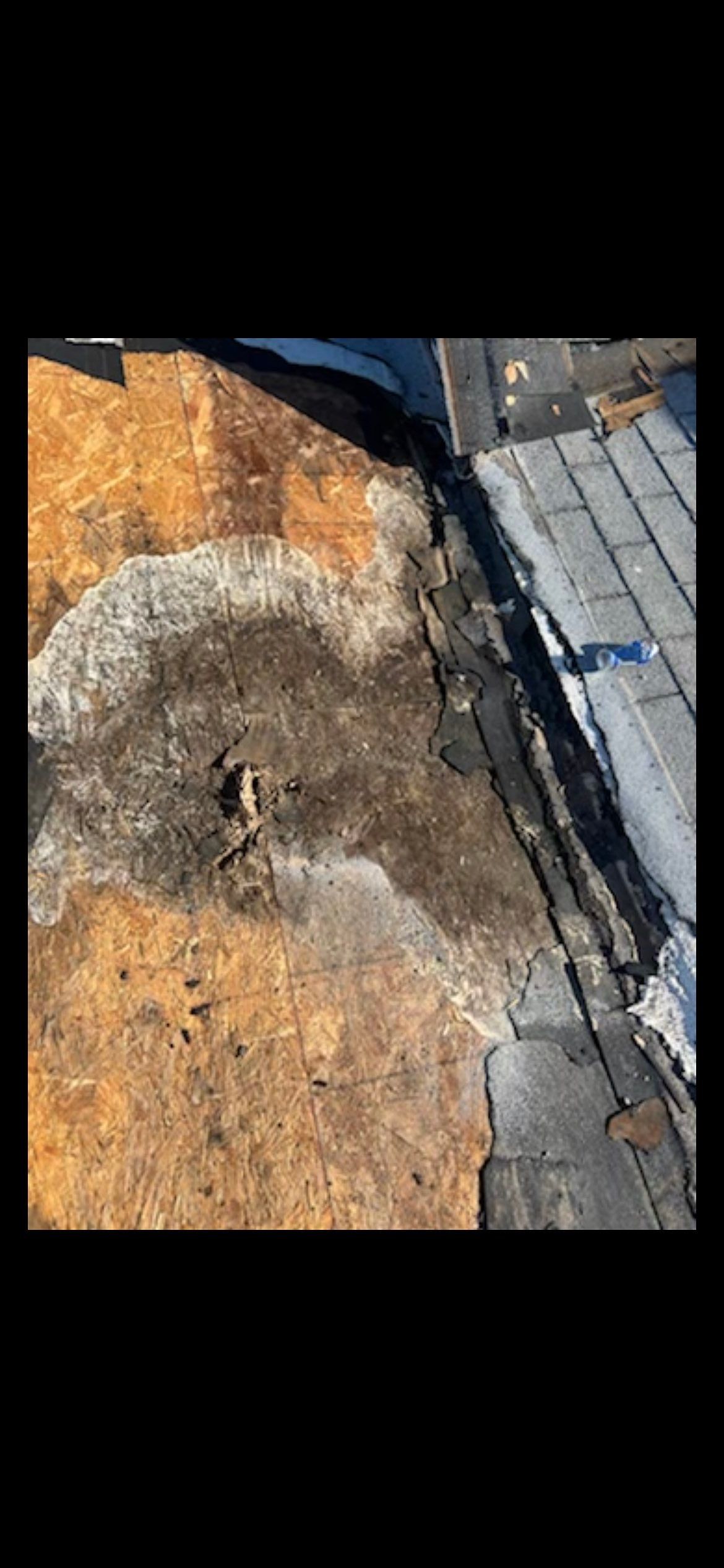 Elise's Full Re-roof by All Storm Roofing & Construction