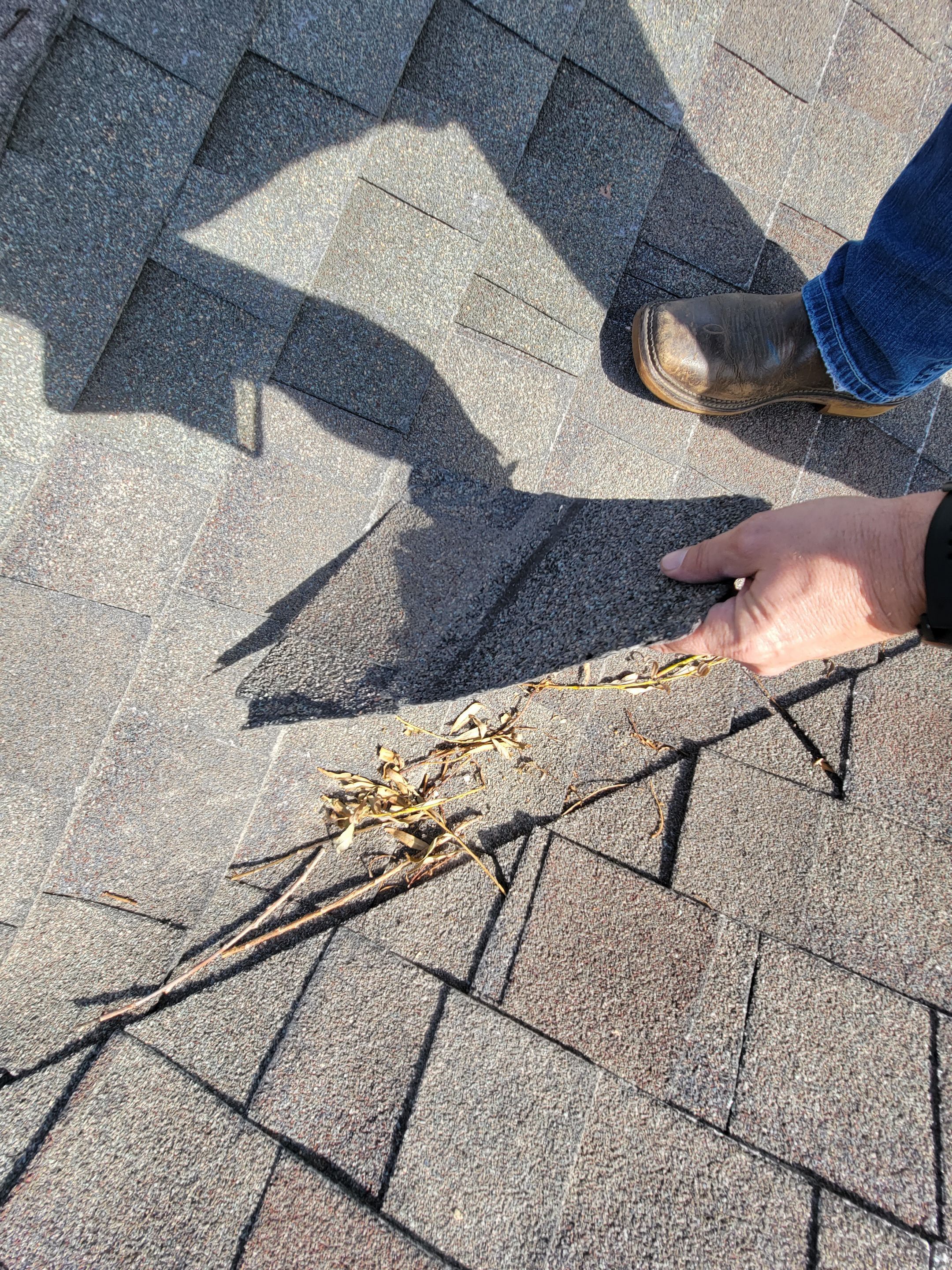Residential Roofing Installation by The Roof Doctor