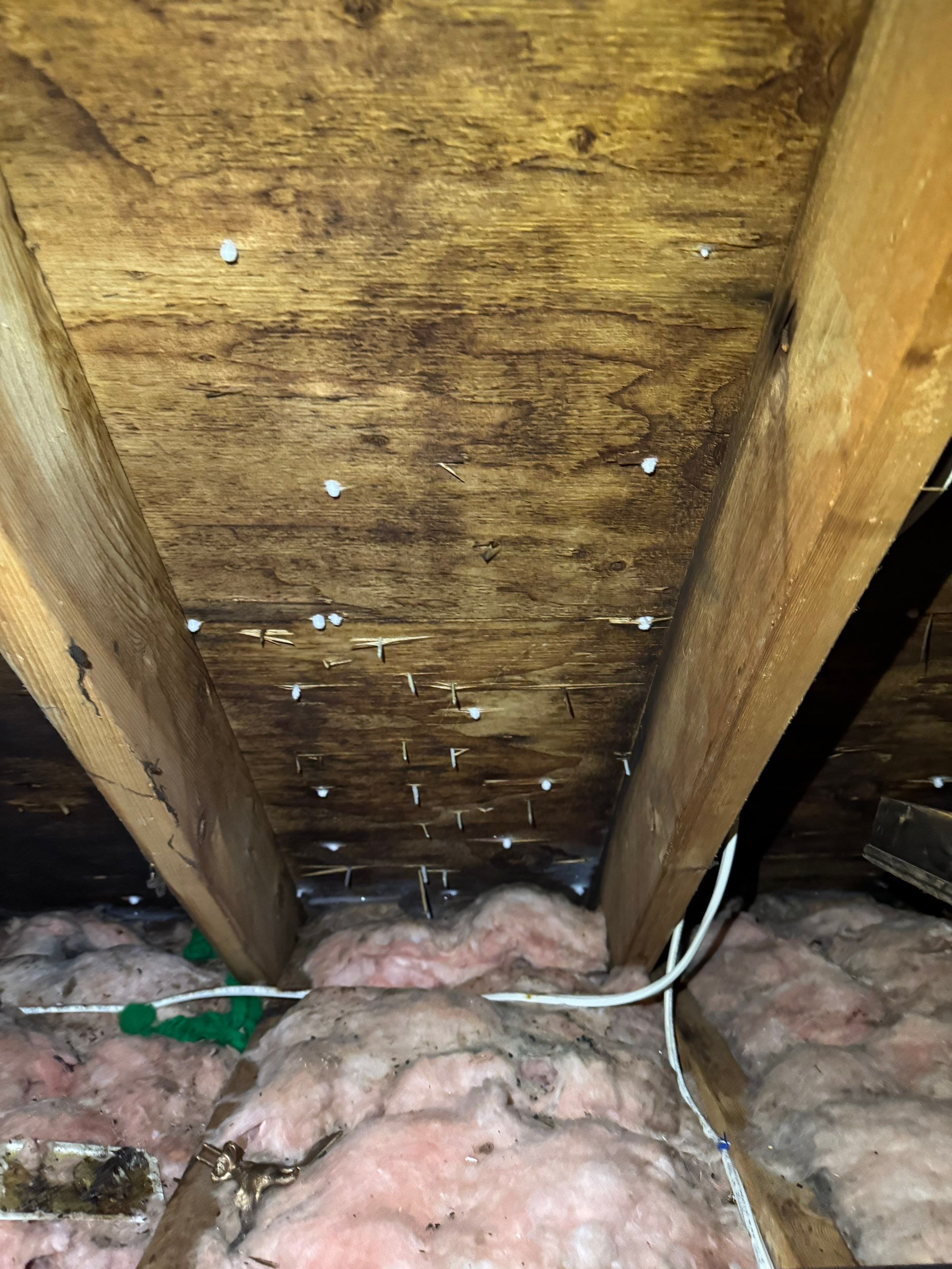 Attic Mold Remediation using Home Guarantee by Home Guarantee, LLC