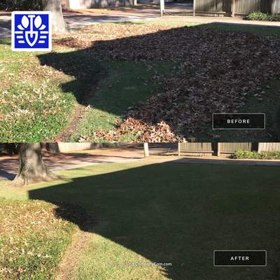 WINTER SERVICES: FULL LEAF JOB