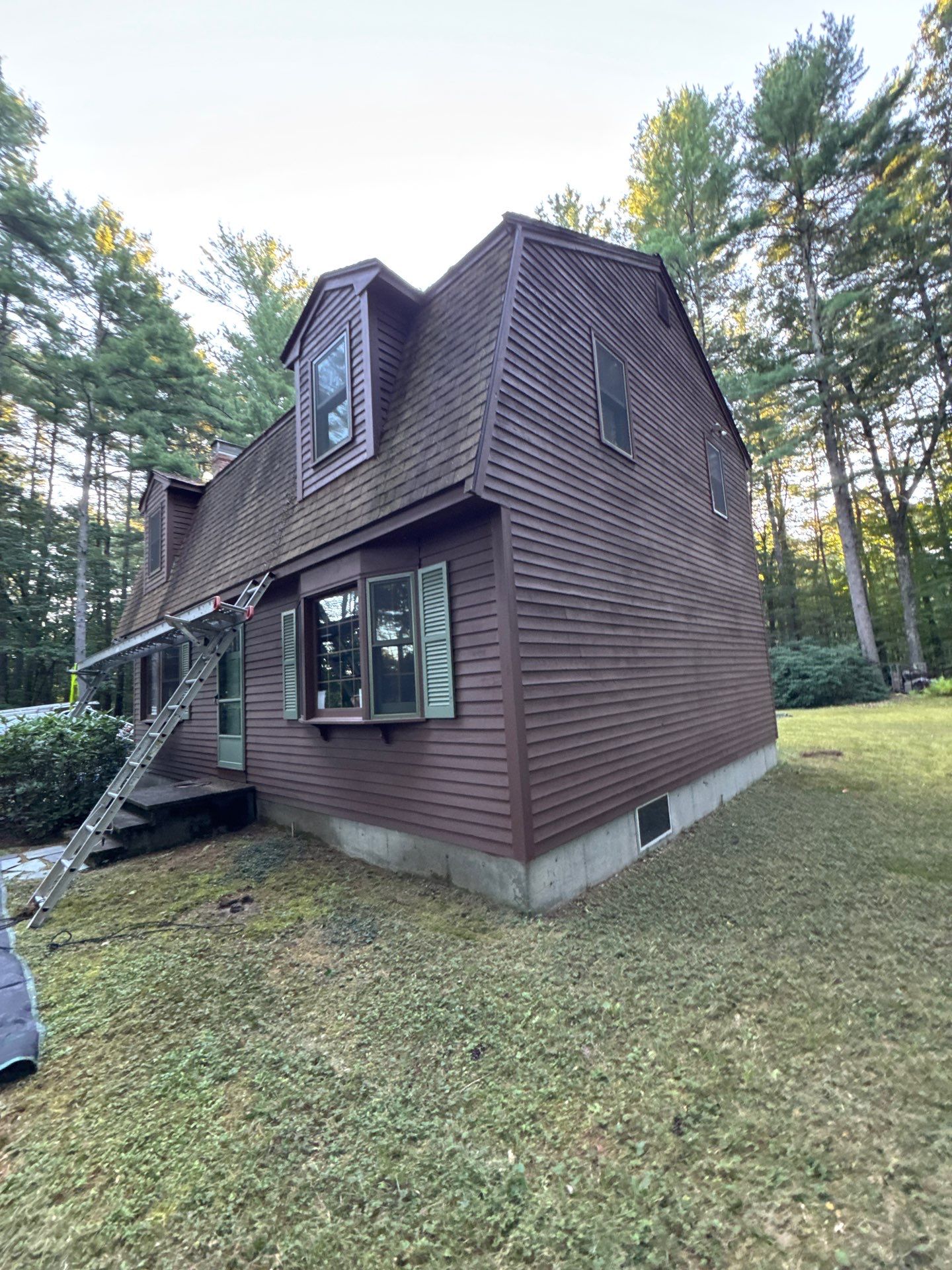 Roof Replacement – Rosalie Brown, MA by Mighty Dog Roofing of Greater Middlesex County
