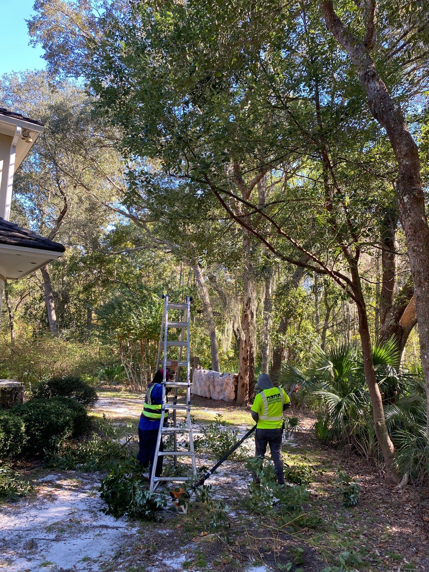 Deerwood Residence | Tree Work by ProGreen Services