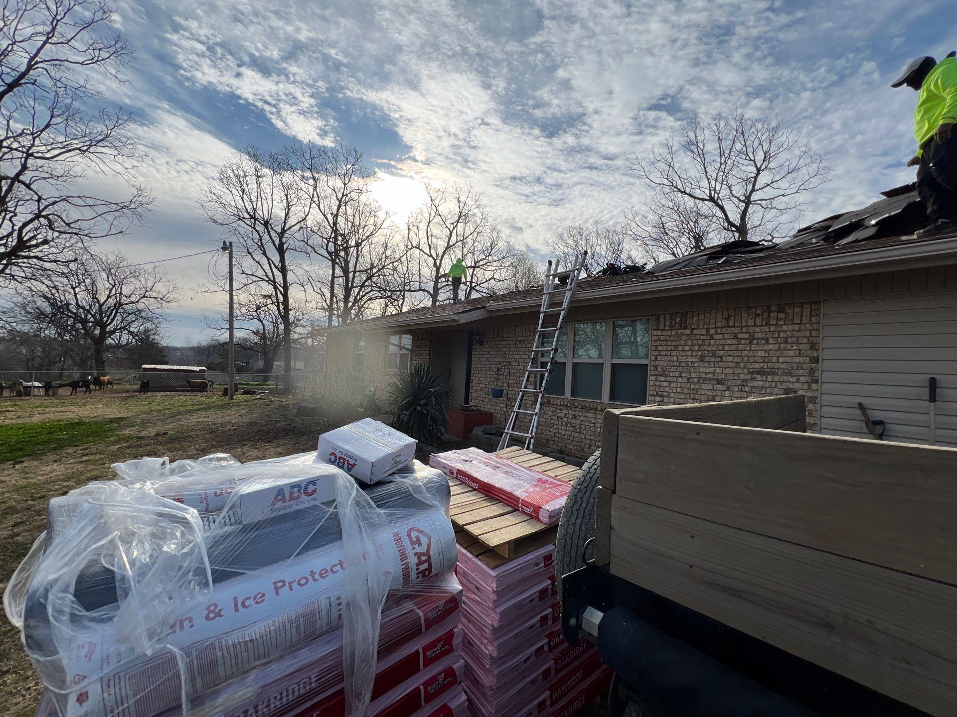 Owens Corning Dessert Tan by In & Out Construction & Remodeling, LLC