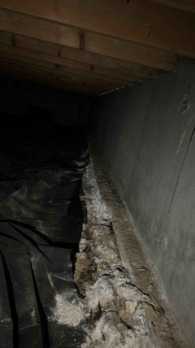 Mold Damage by Accountable Home Services