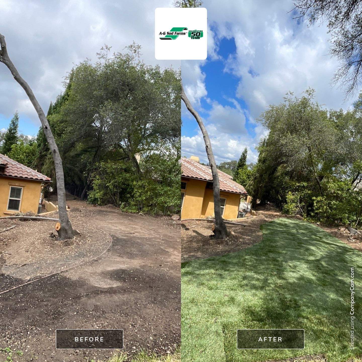 Project in Granite Bay by A - G Sod Farms