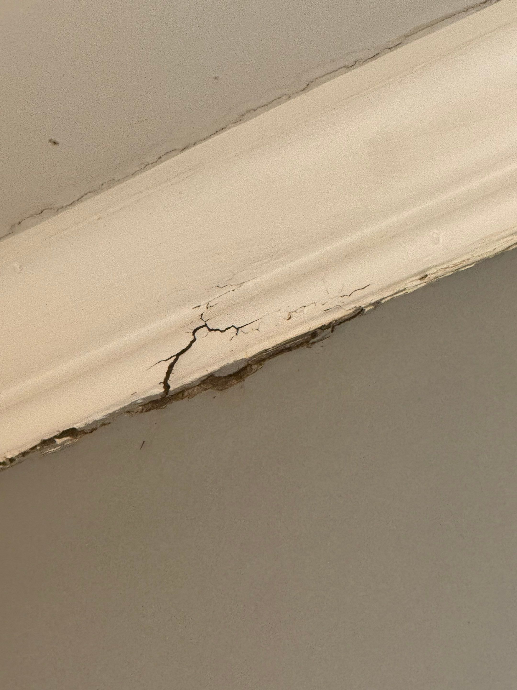 Water Damage Repair & Interior Restoration by PGP Surface Solutions, LLC