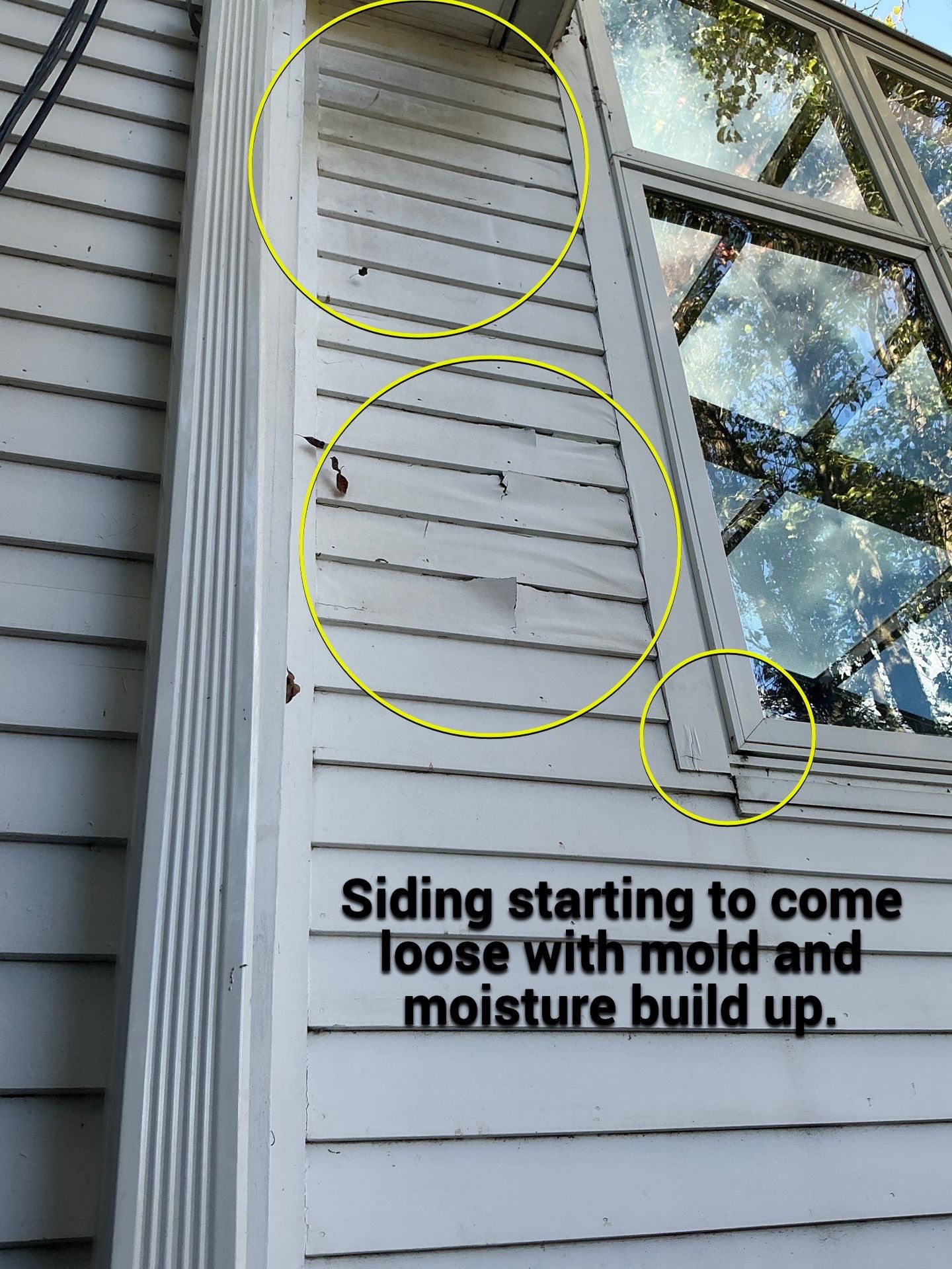 Johanna's Home in Newtown by Window Guardians