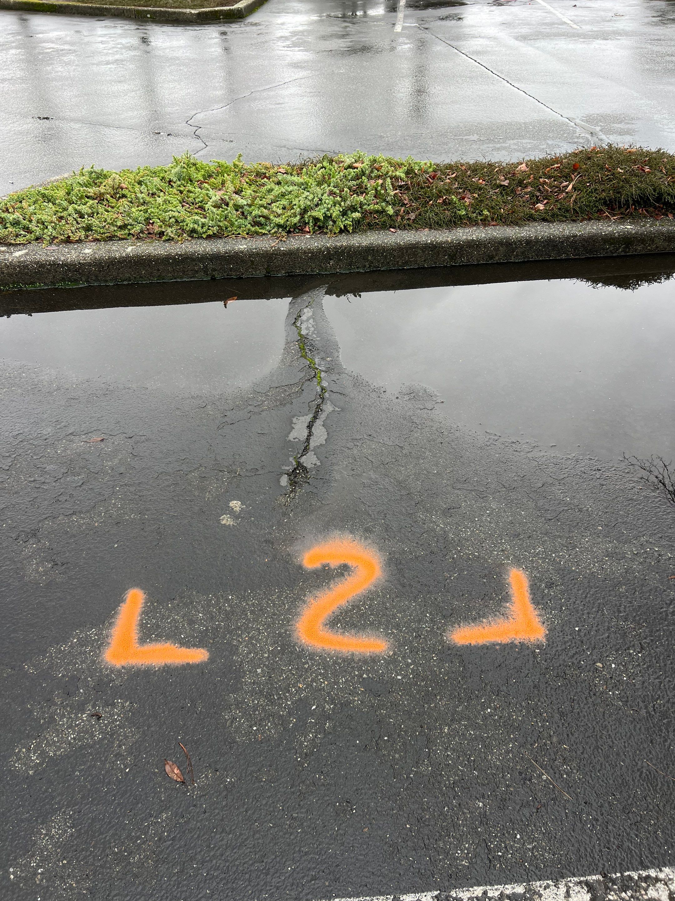 Amanda | Concrete Curb by Jireh Asphalt & Concrete Inc 