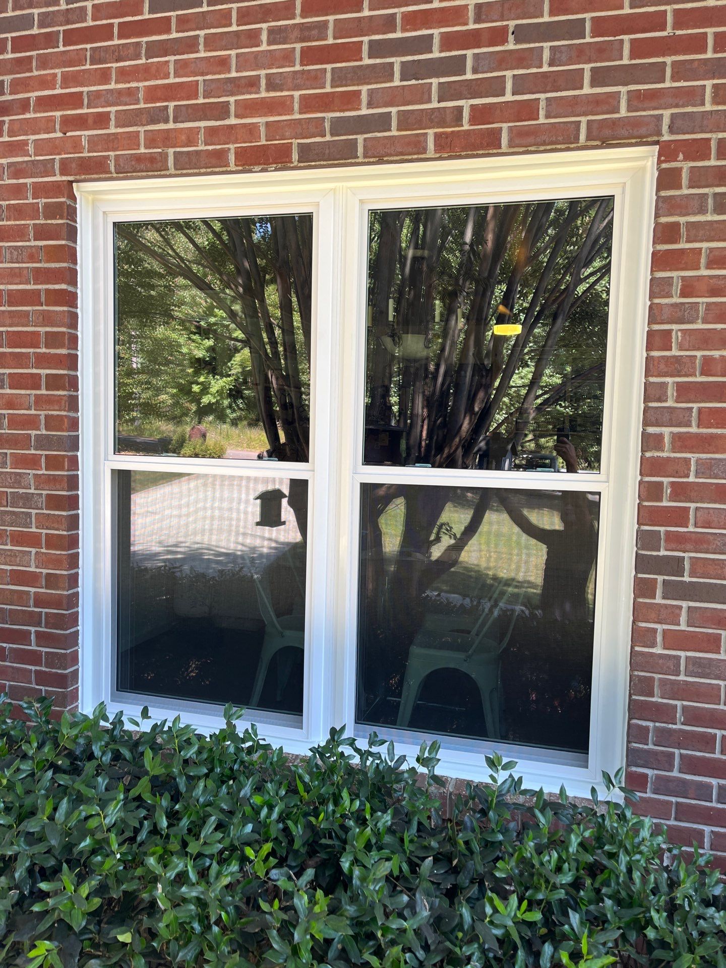 Jackson Project in Bessemer by The Window Source