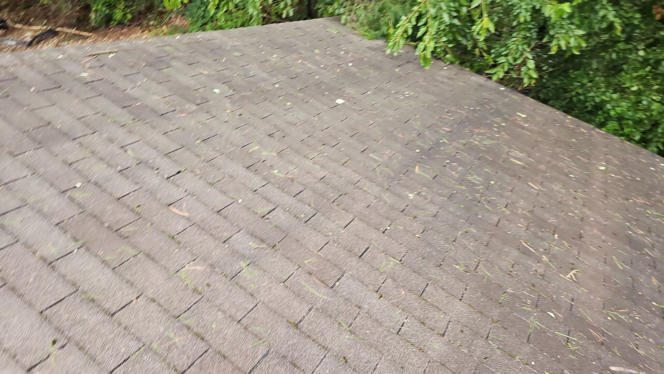 ATLAS PINNACLE COLOR: BLACK SHADOW by Eagle Eye Roofing