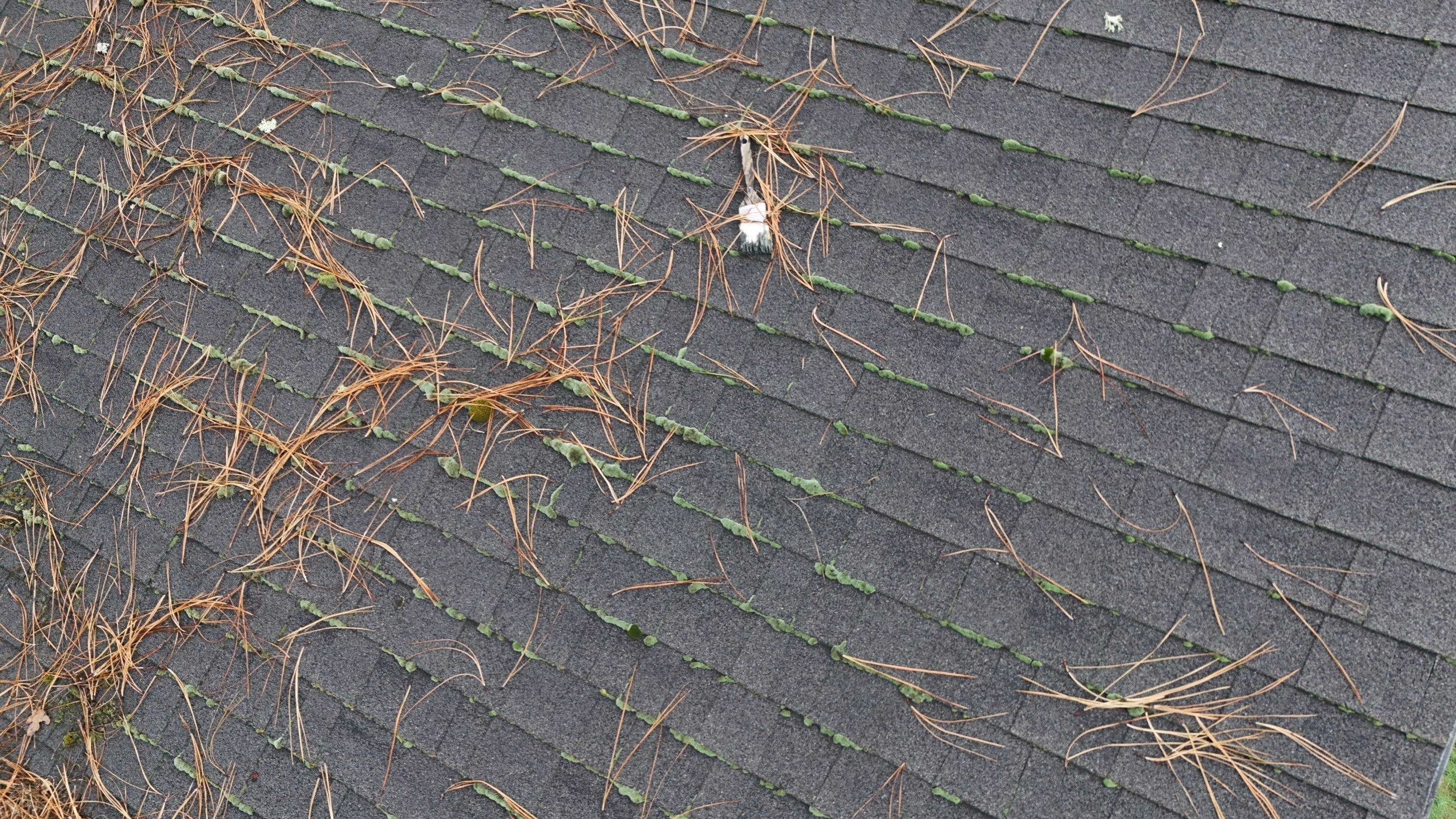 Severe Roof Maintenance in Beaverton by Prodigy Roof Solutions