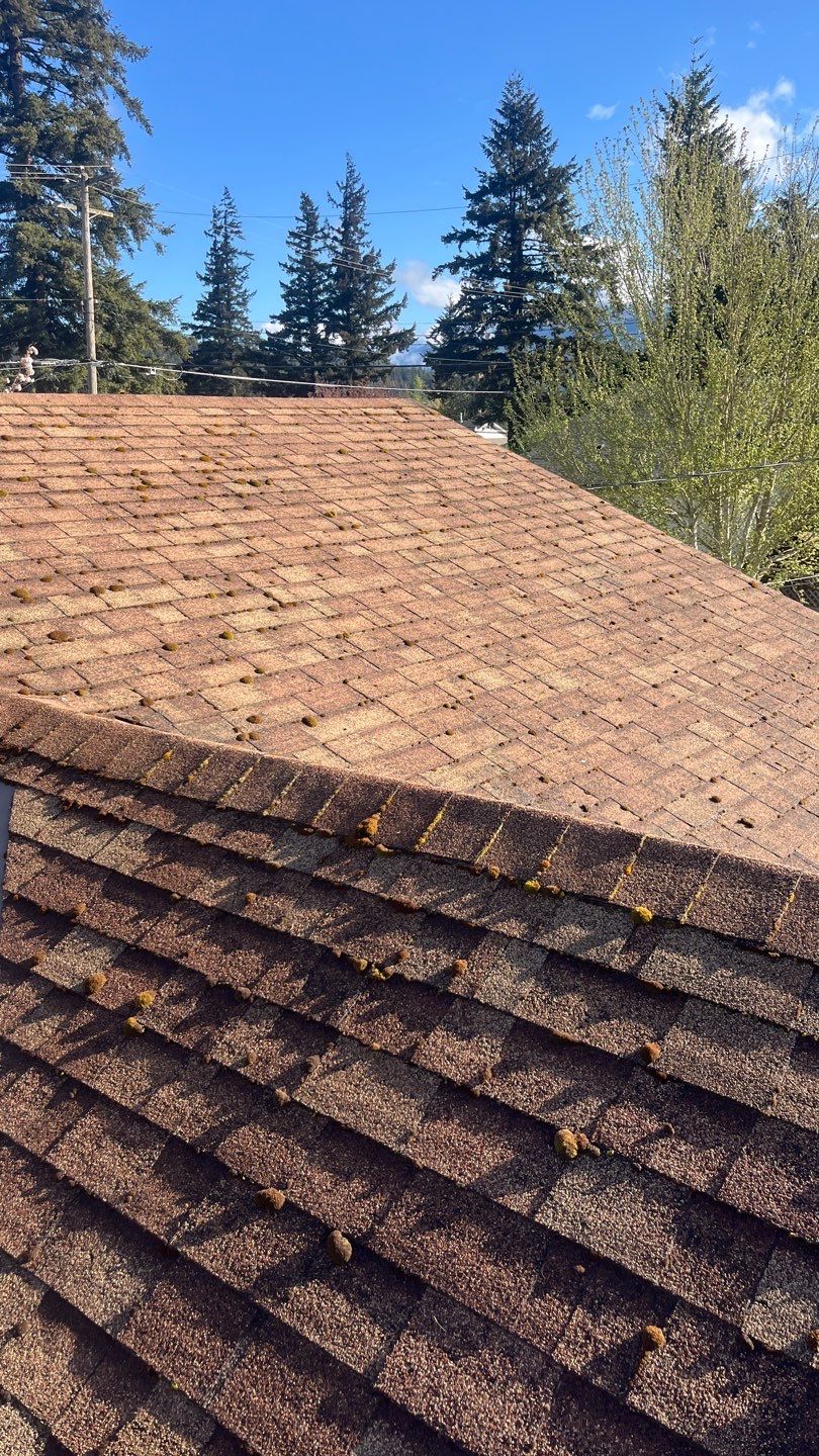 Residential Re-Roof using 12" Prolok metal  by Top Notch Roofing Inc