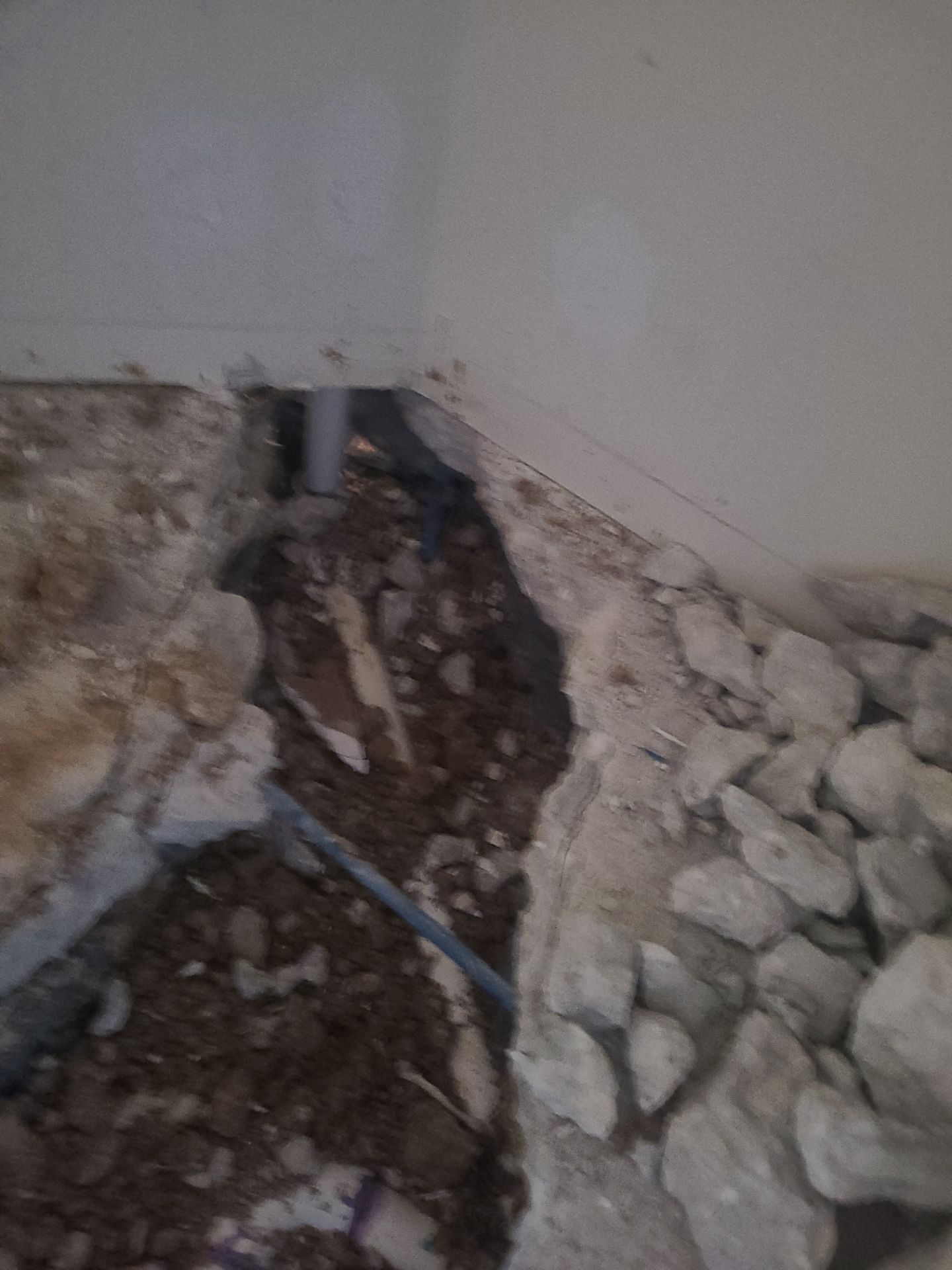 The DeSaro Family by SophAlx LLC