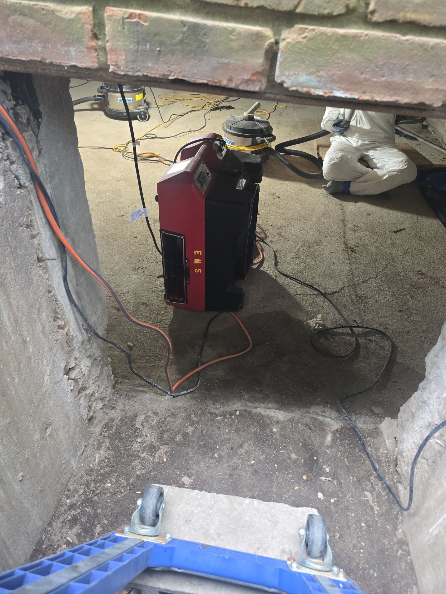 Crawlspace Water Mitigation and Structural Mold Remediation in Port Jefferson by EMS Restoration Corp
