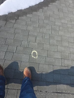 Roofing Inspection