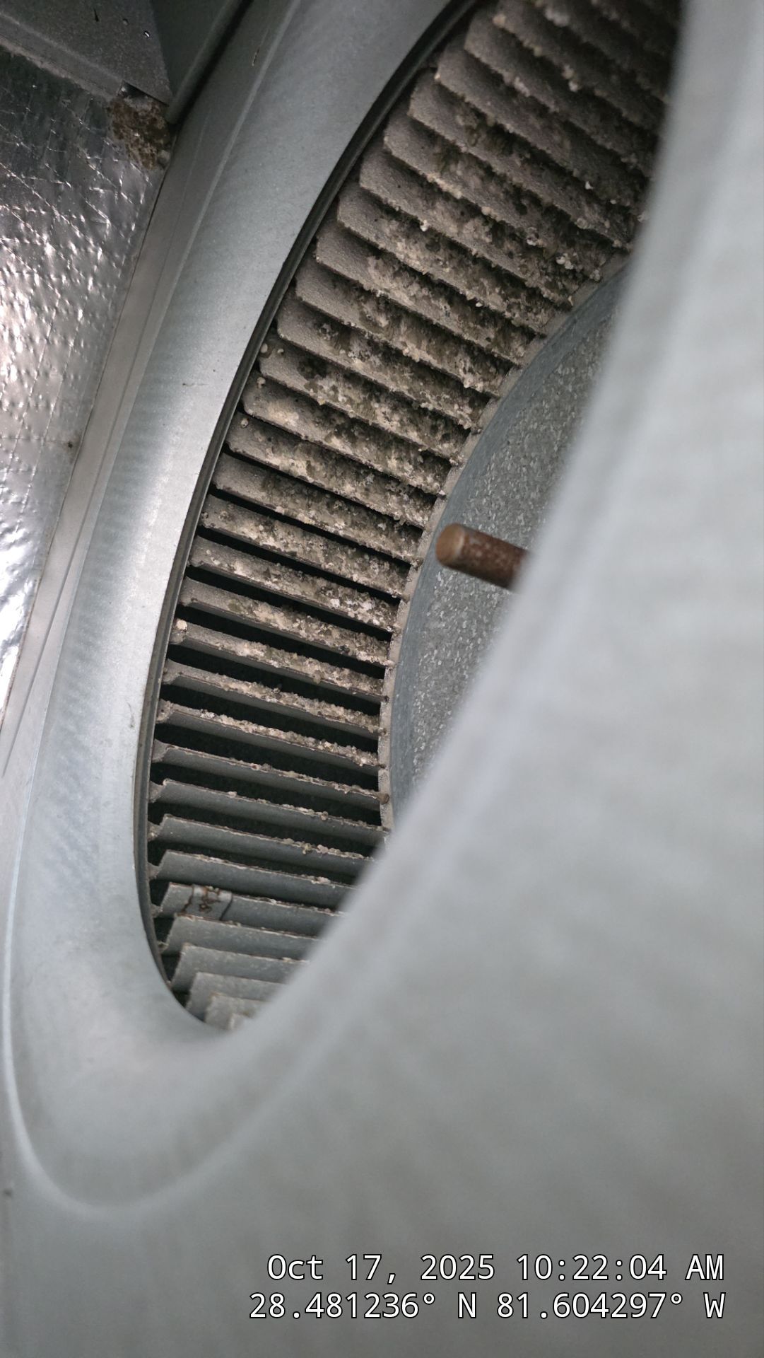 AIr Duct and Dryer Vent Cleaning in WInter Garden by Hygienic Air, Inc
