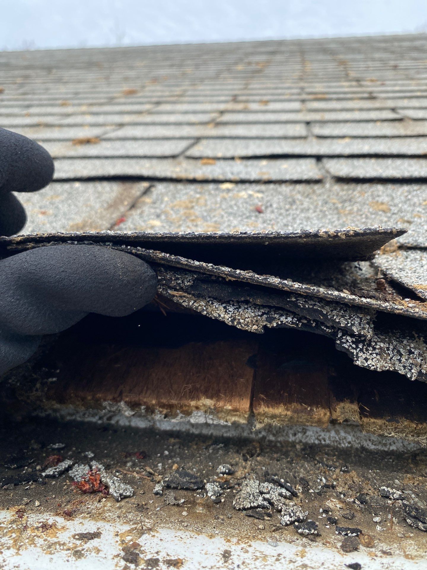 Roofing | Maynard by Mighty Dog Roofing of Greater Middlesex County