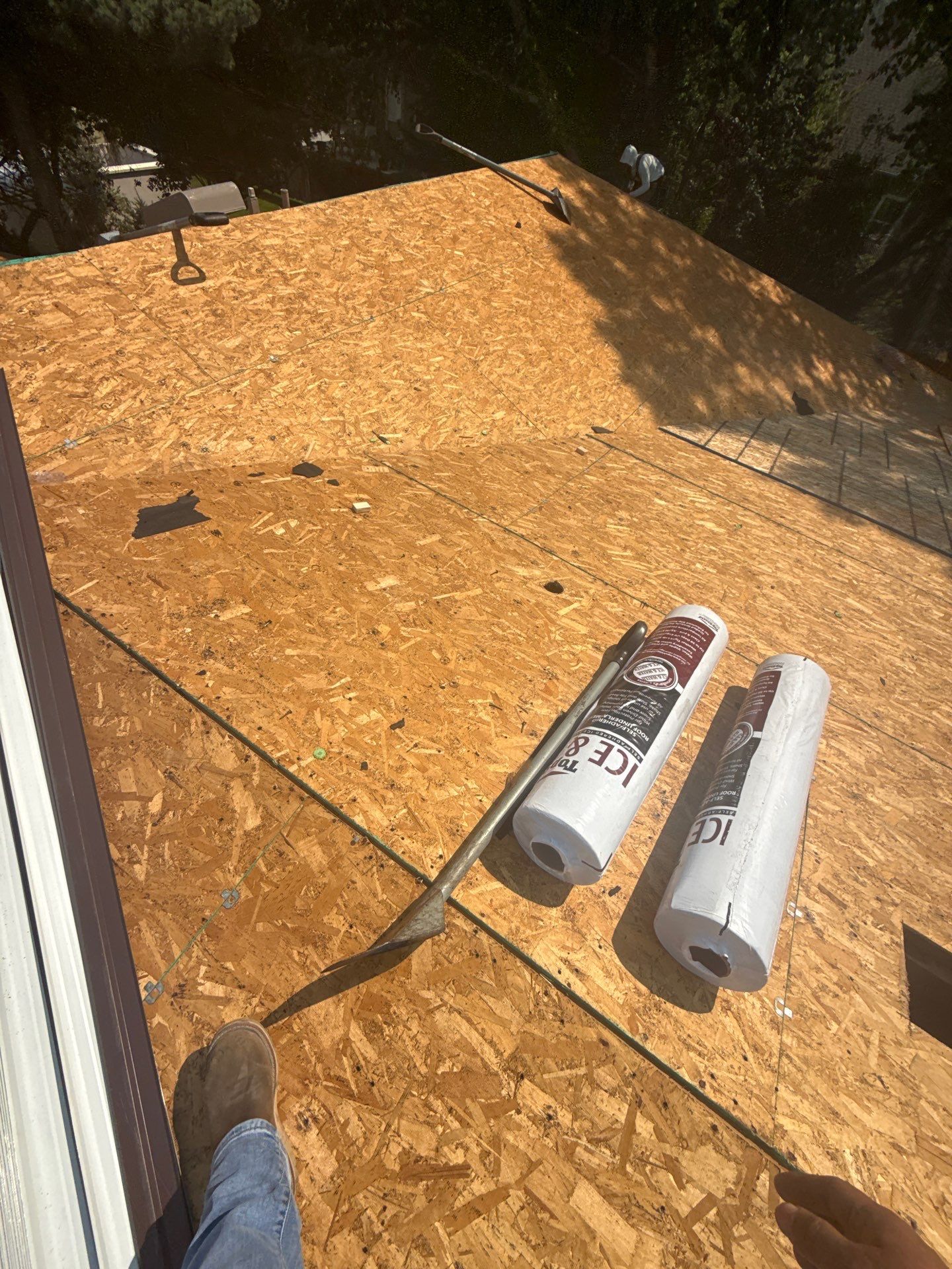 Boise Commercial Roof Replacement with Brown Architectural Shingles by Olive Roofing