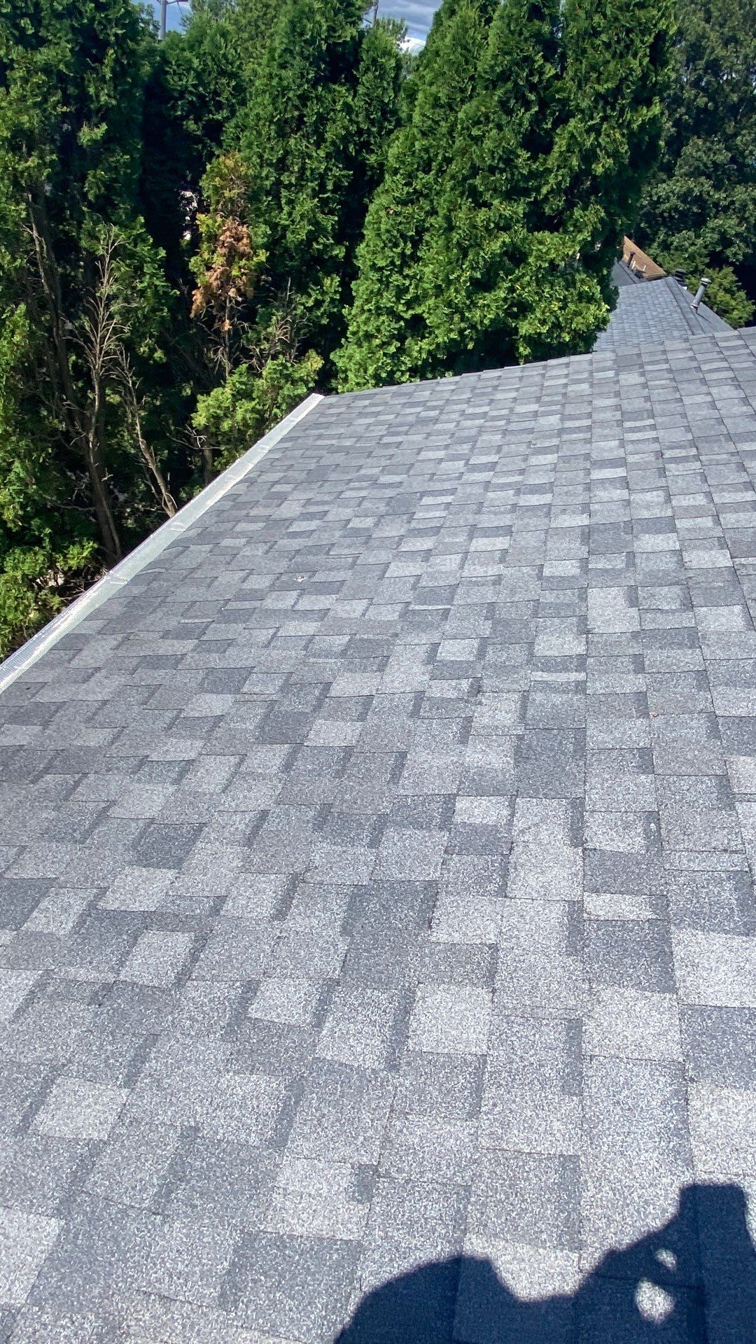 Falls Church: CertainTeed Landmark Pro Designer Shingles in Max Def Pewterwood by RM Banning, Inc.