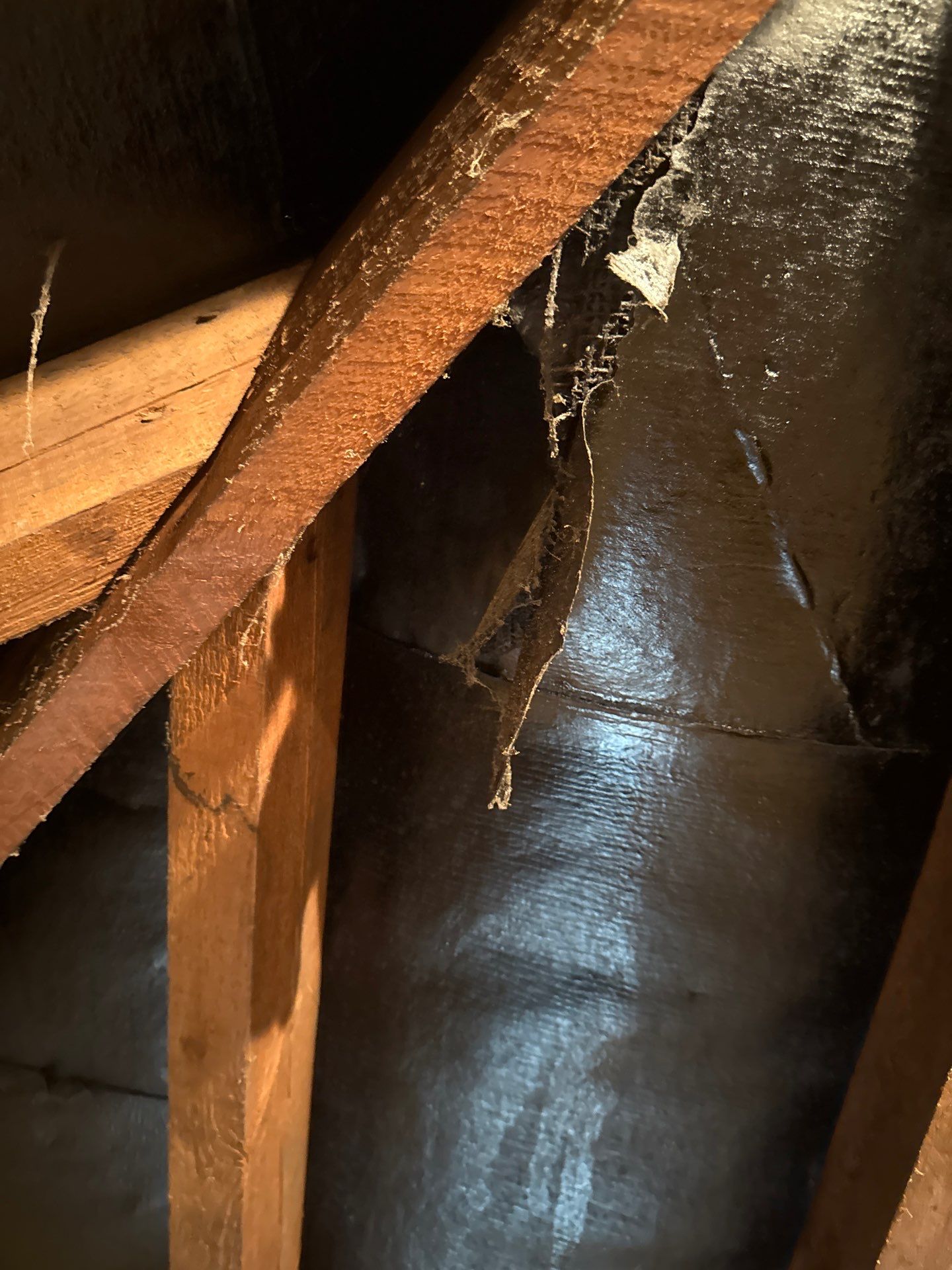 Roof Clean - Gutter Clean - Biocide Treatment by Ges Exterior Cleaning ltd