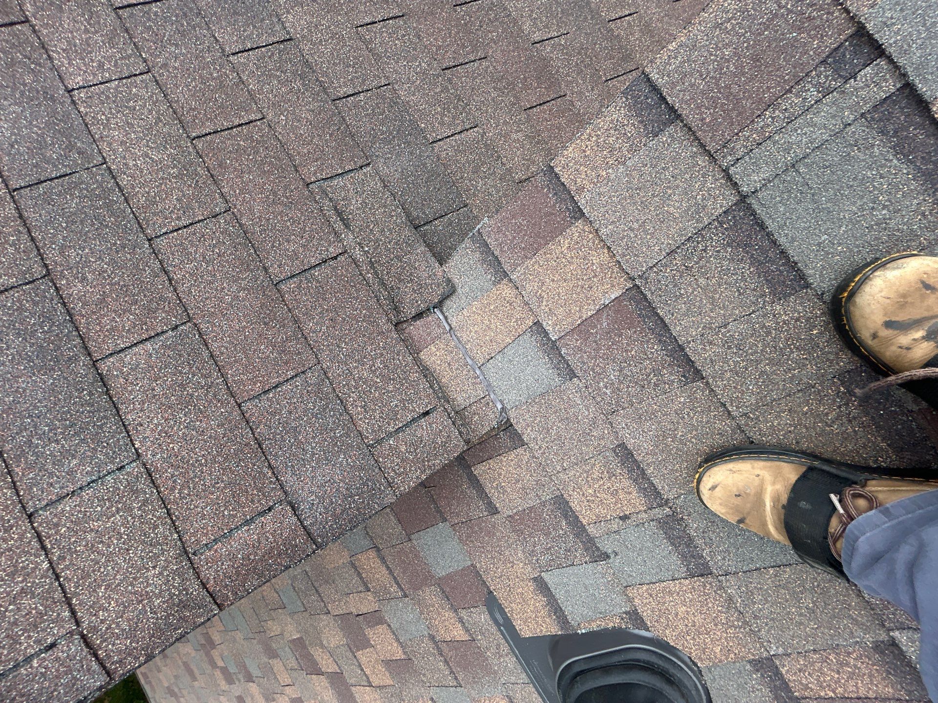 Alexandria : Residential Roof Replacement with CertainTeed Landmark Pro in Max Def Heather Blend  by RM Banning, Inc.