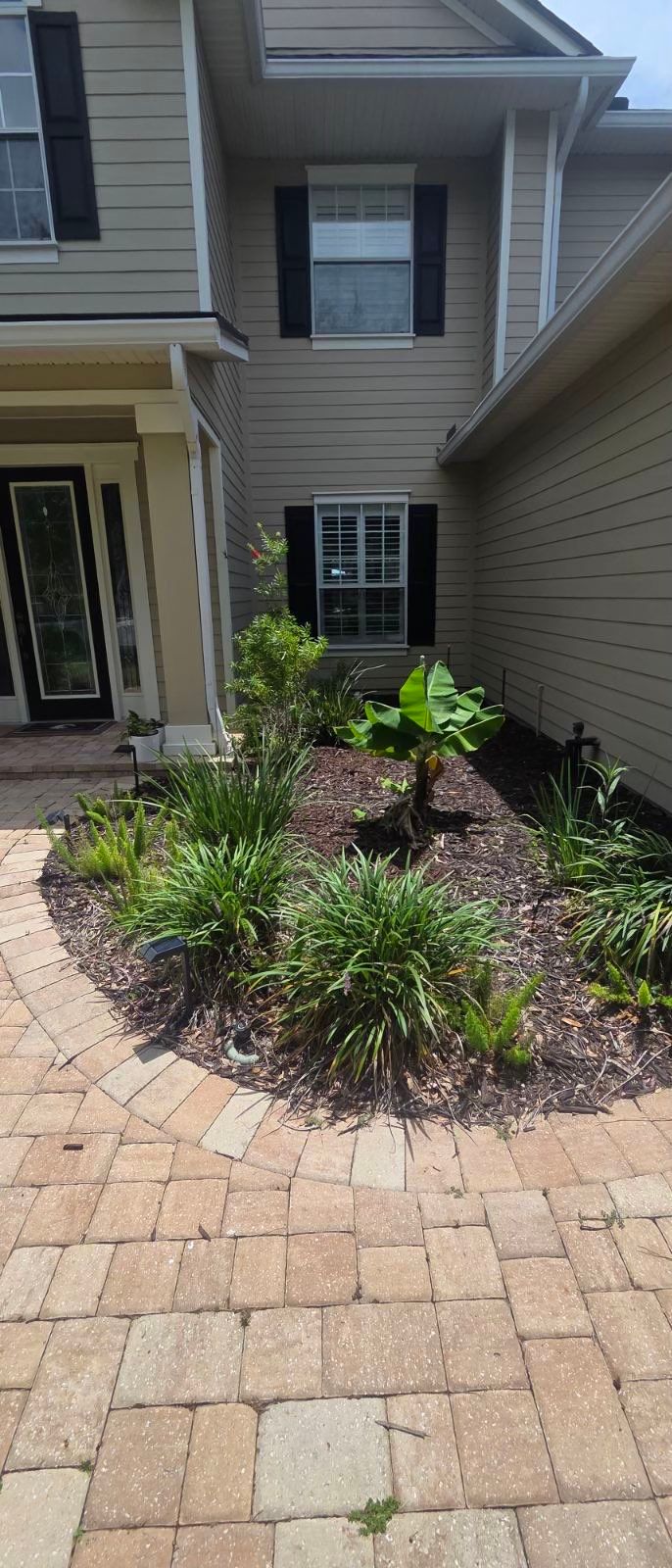 Residential | Sod Installation & Tree Trimming by ProGreen Services