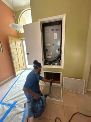 Mold Removal & Remediation 