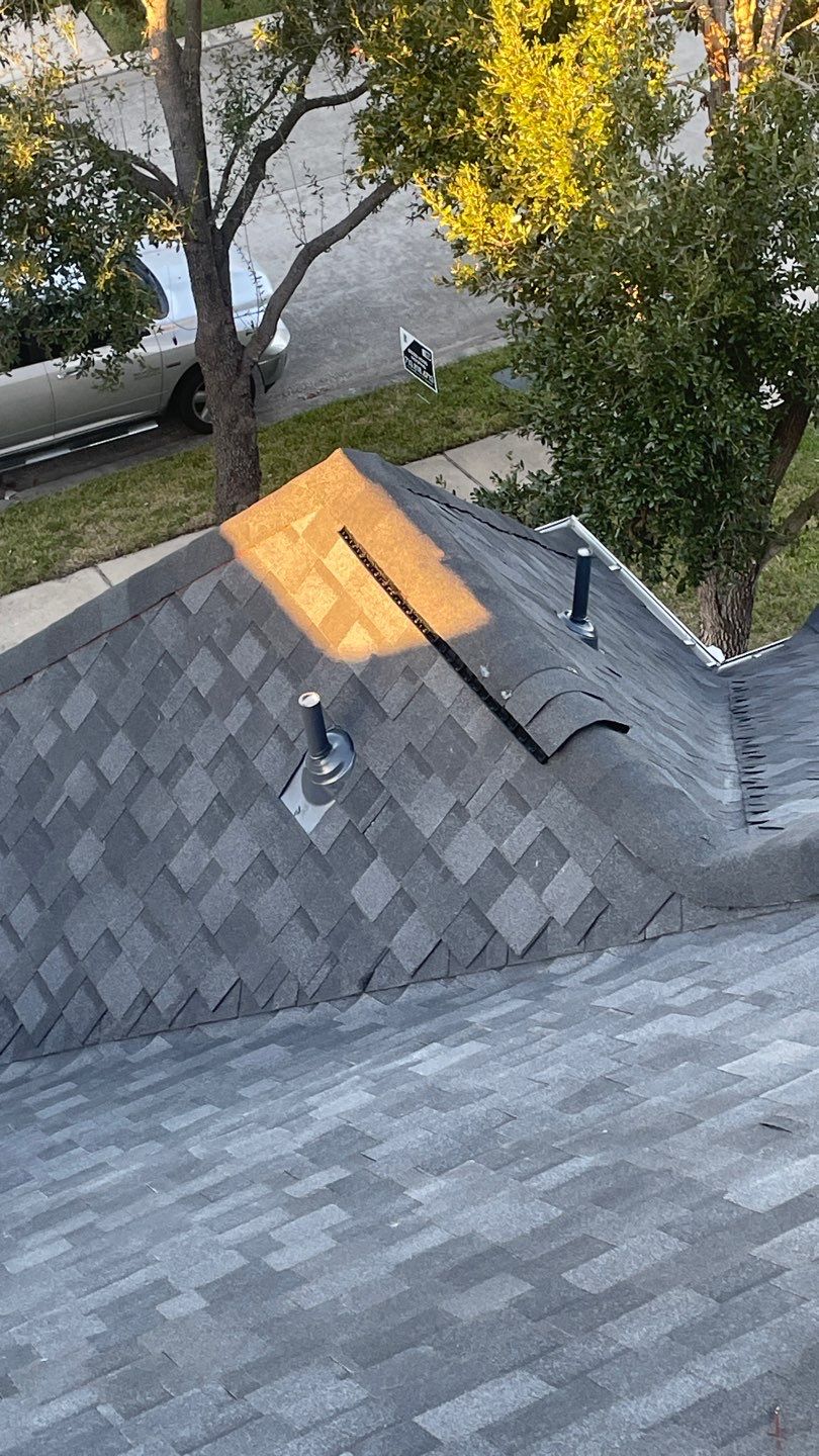 Sims B by Boss Hogg Roofing