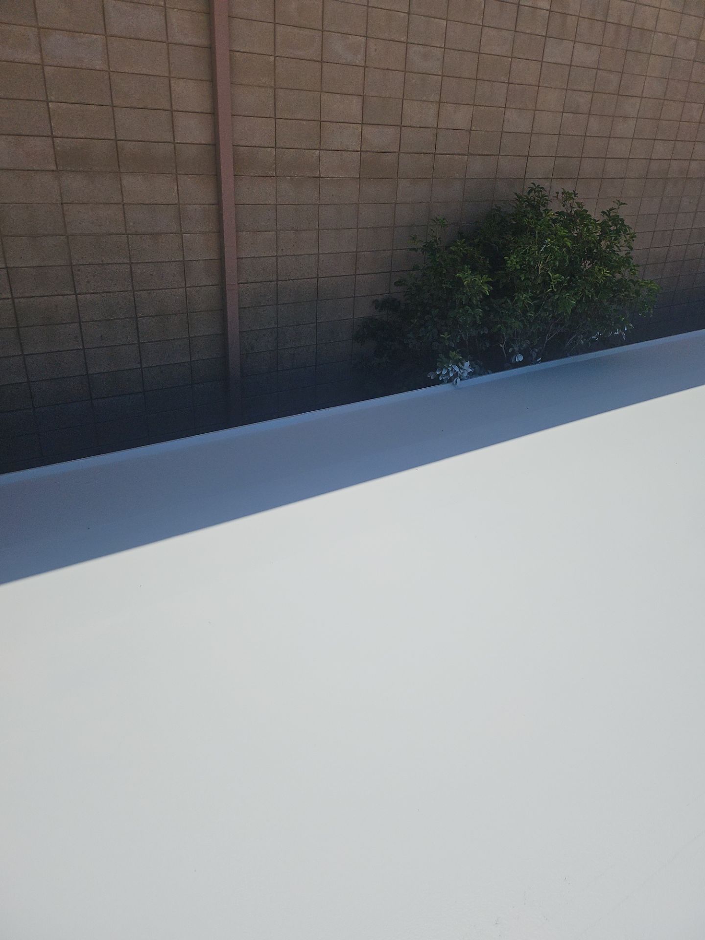 Single-ply restoration system using Benchmark/PUMA XL coatings over TPO single-ply roofing by Straight Edge Roofing Inc