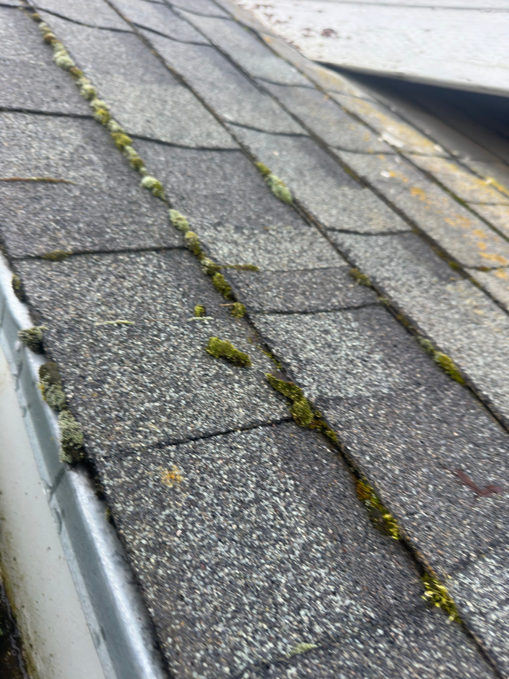 Project in Rio Linda by NuLead Construction Inc