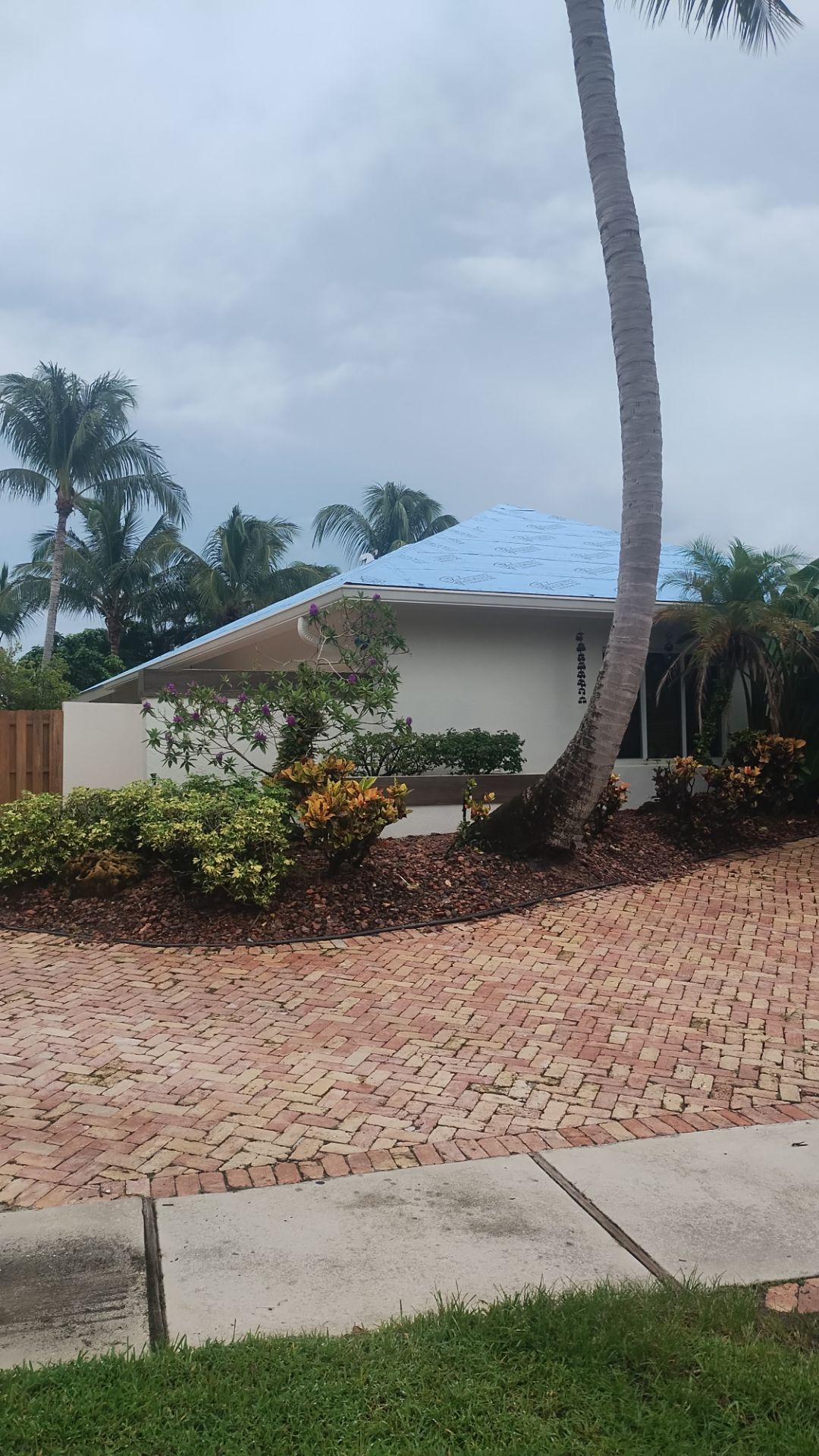Residential Roofing Installation using 1" Nail strip metal roof by BLUES BROTHERS ROOFING