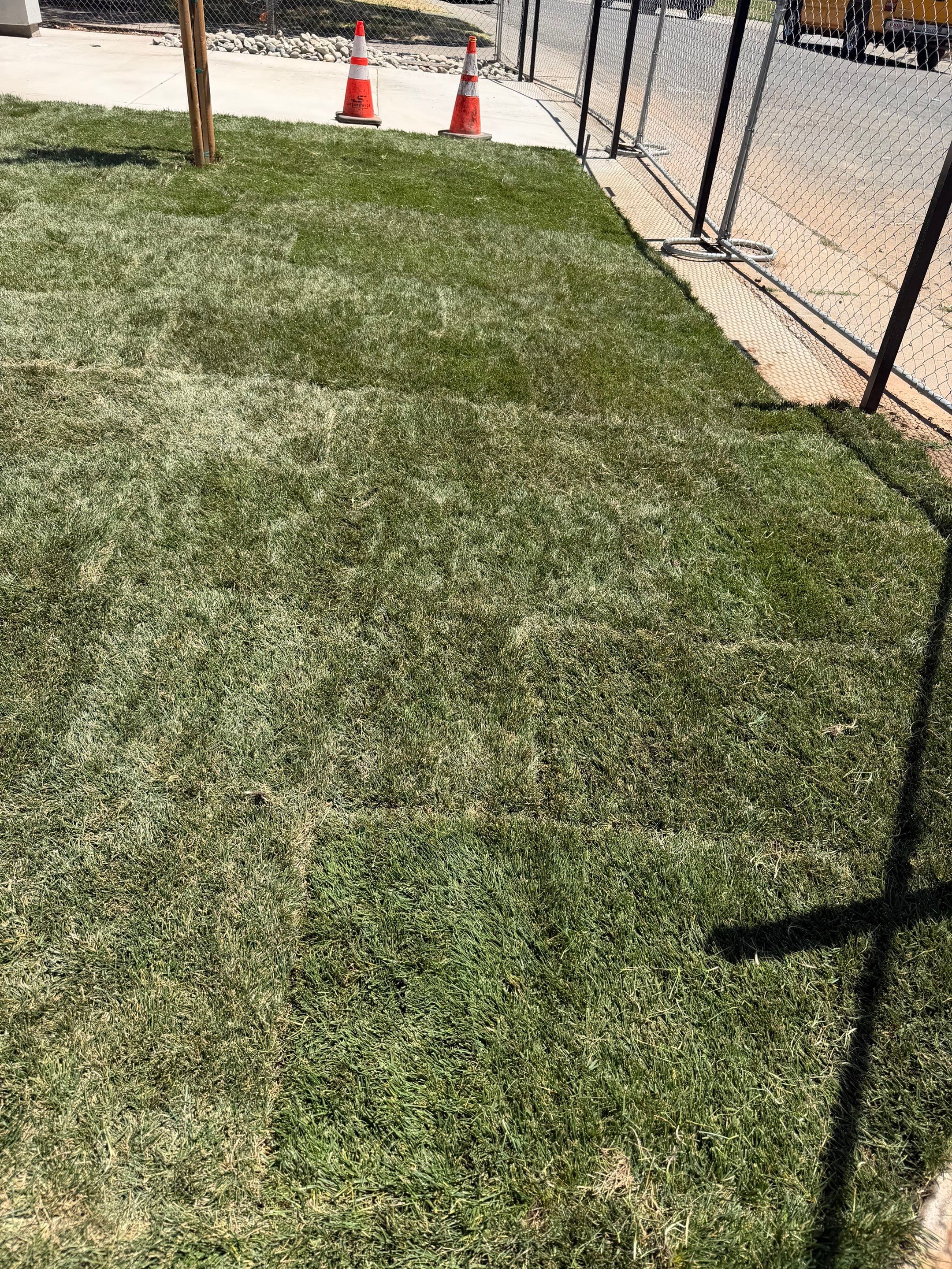 Project in Sacramento by A - G Sod Farms