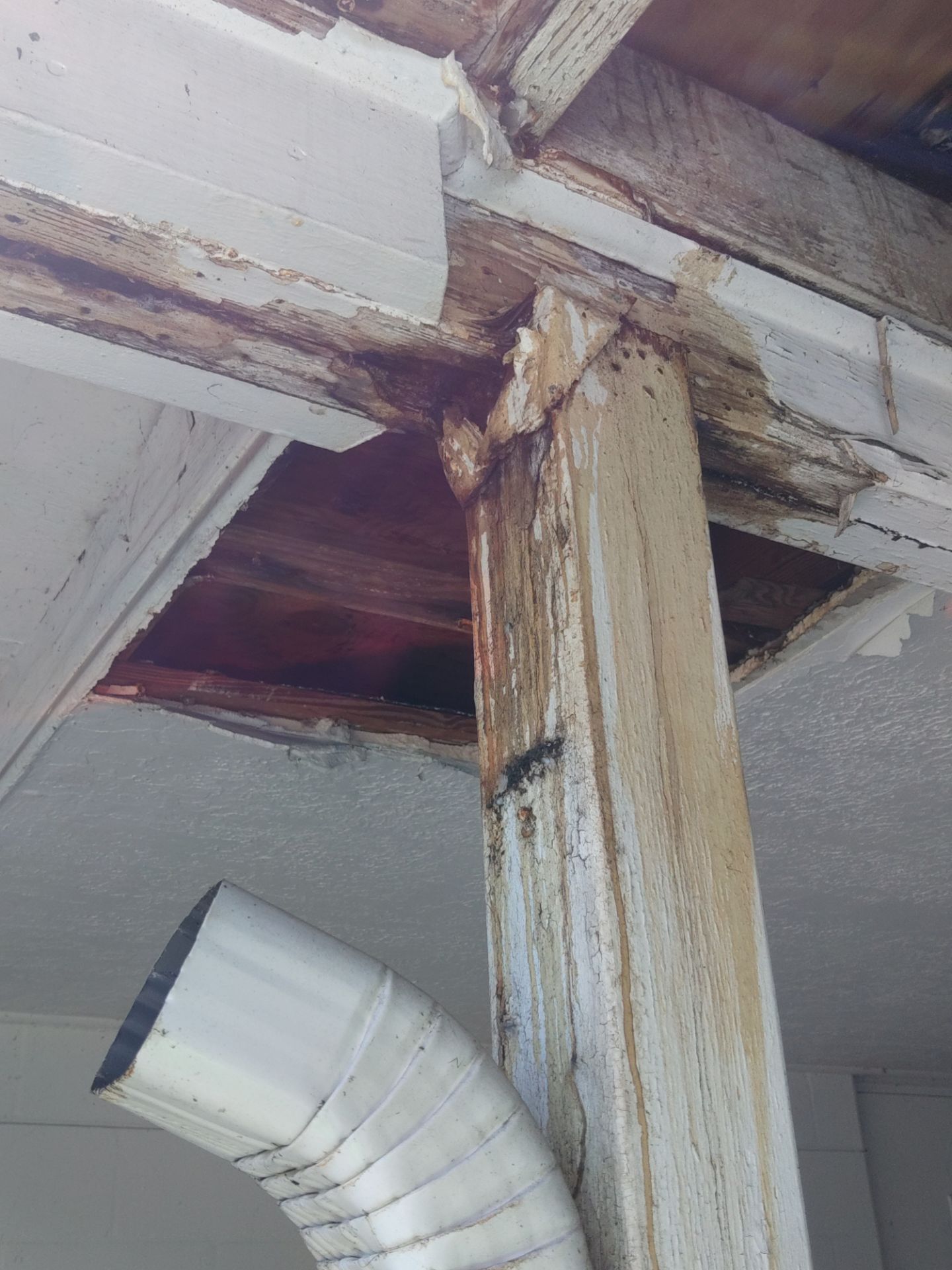 Gutter and Fascia Repair and Maintenance in Siesta Key FL by Gutter Professors