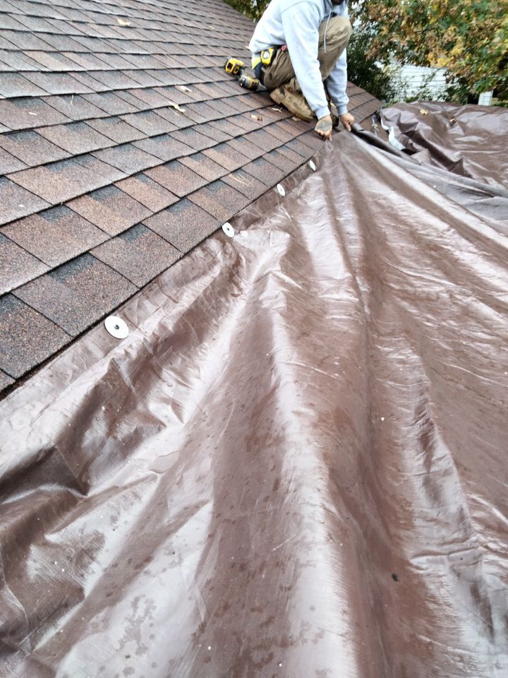 Tree Destroyed Patio Room by Absolute Roofing and Construction