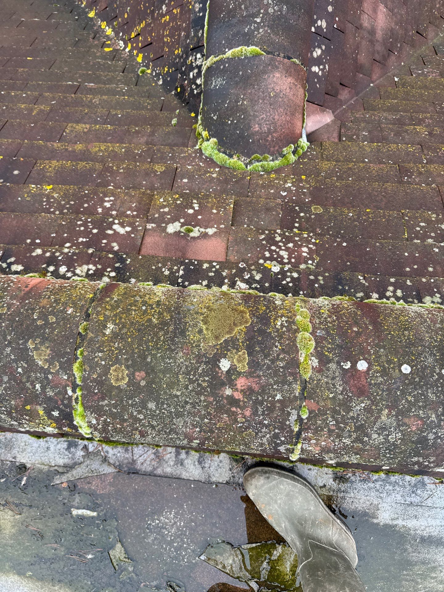 Roof - Driveway - Patio Clean using 18inch Whirlaway FSC by Ges Exterior Cleaning ltd