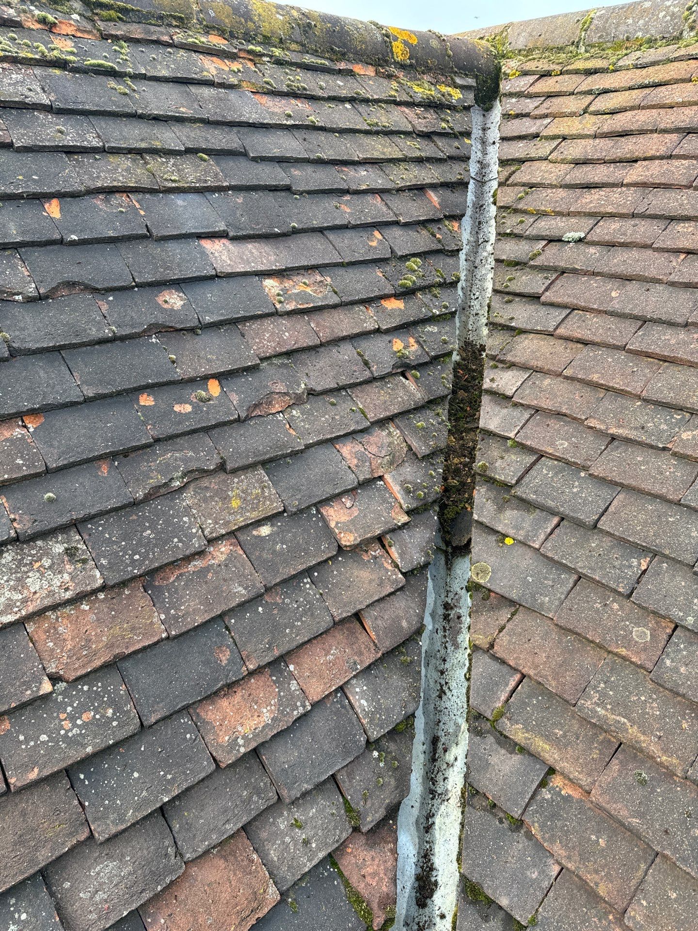 Exterior Clean - Roof - Patio - Driveway using Mosmatic FSC and Biocide by Ges Exterior Cleaning ltd