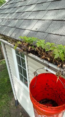 Turtle Shell gutter protection installation in Warrenville, IL 60555, photograph 29