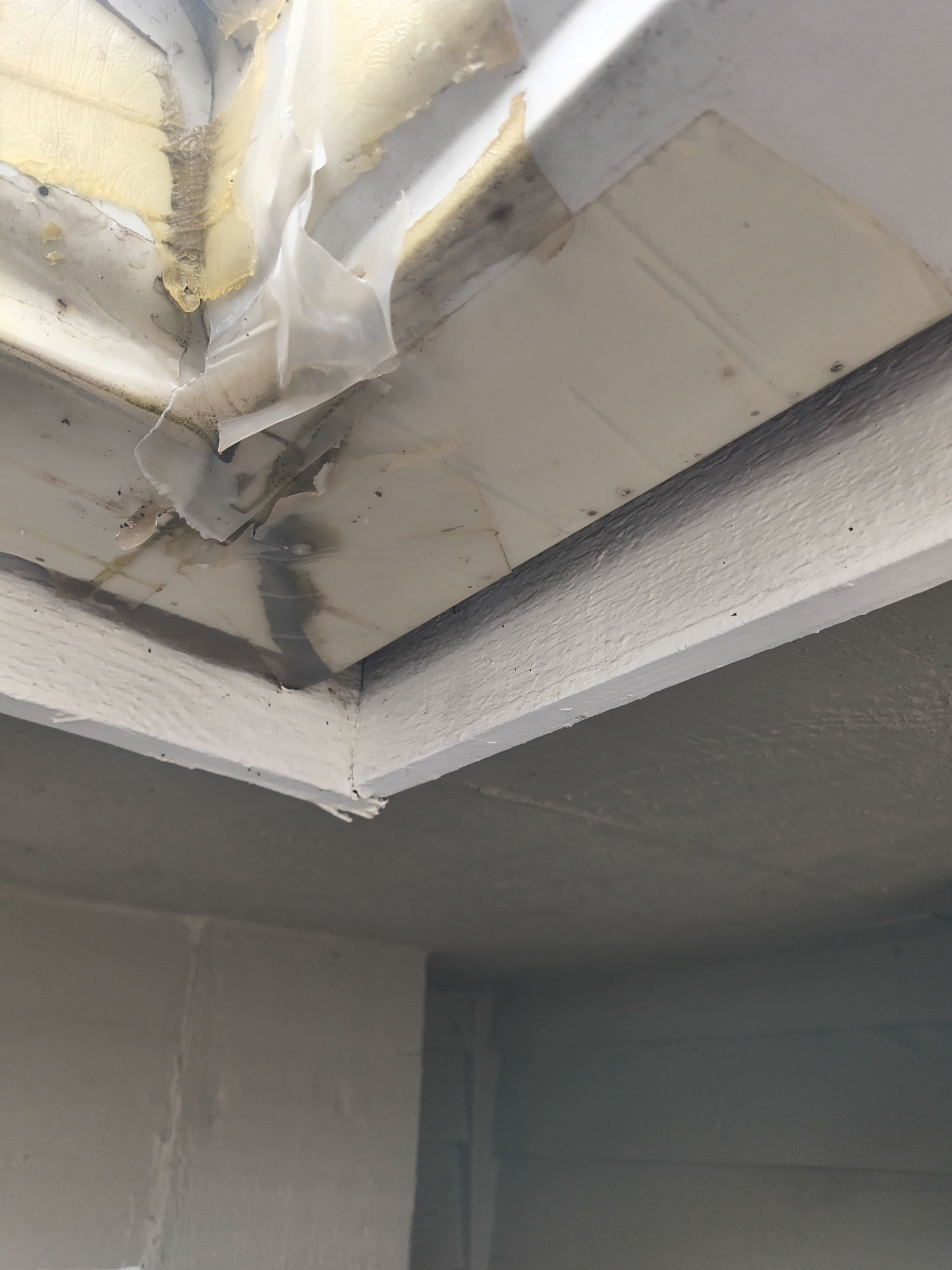 Gutter Replacement in Bloomington, MN | Leaking Gutter Fix & Upgrade by Next Level Seamless Gutters / Exteriors Inc.
