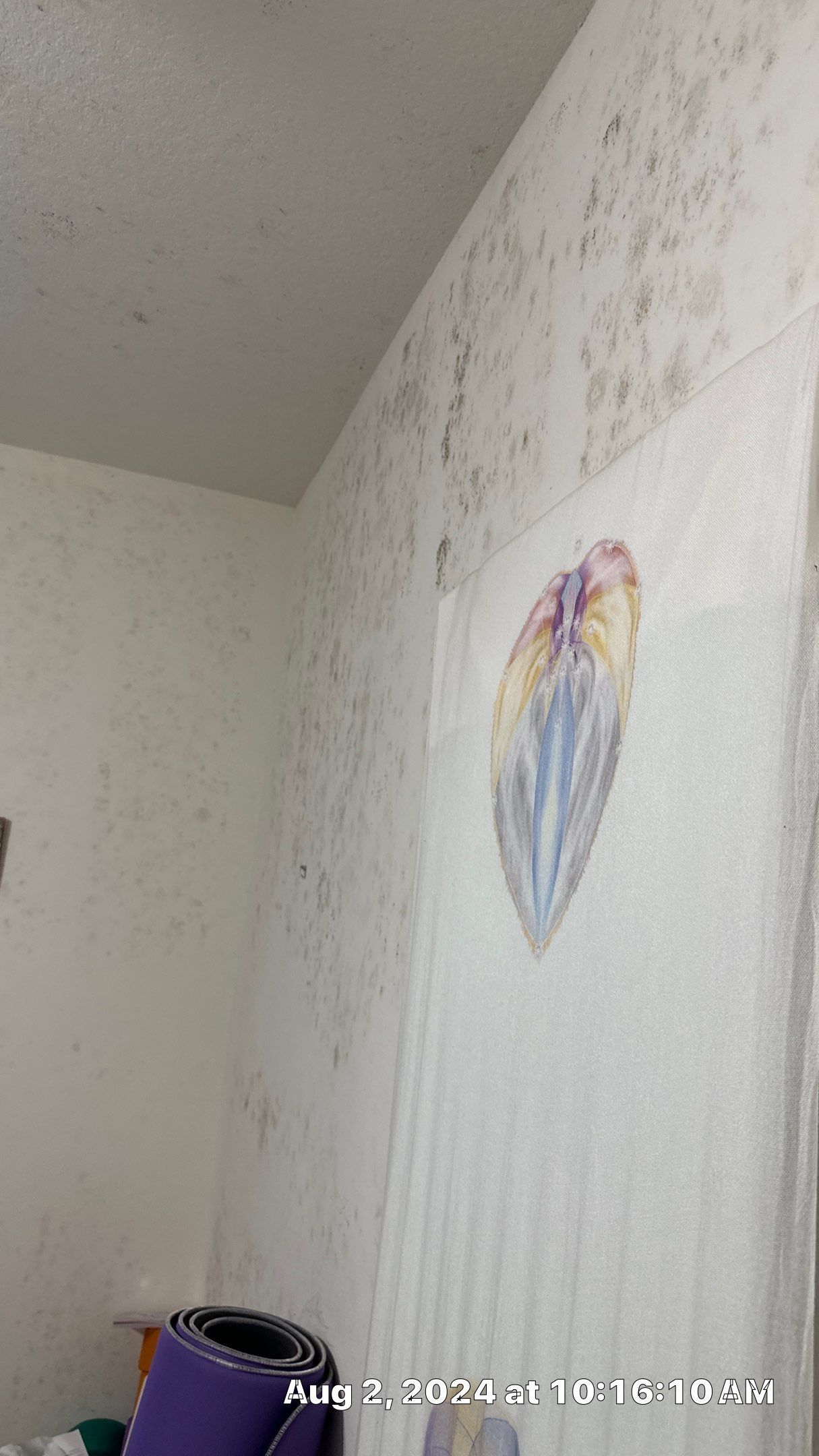 Mold Assessment using IR Camera, Moisture Meter, Air Cassette samples and Tape lifts by Building performance Solutions LLC