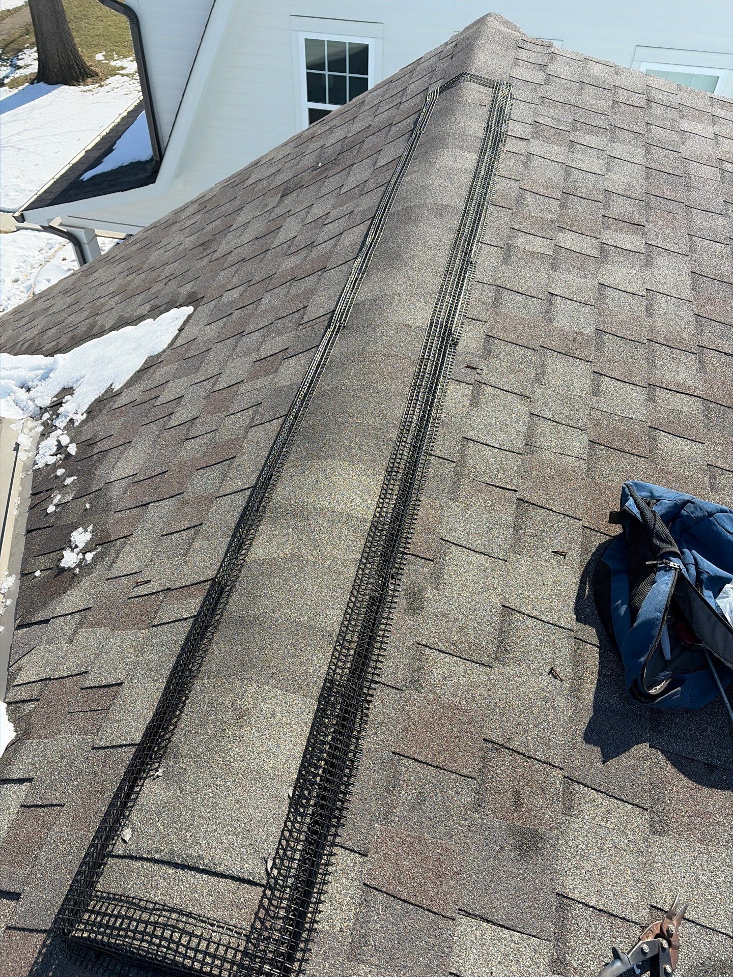 Project in Columbus, OH by Ultimate Pro Wildlife Removal