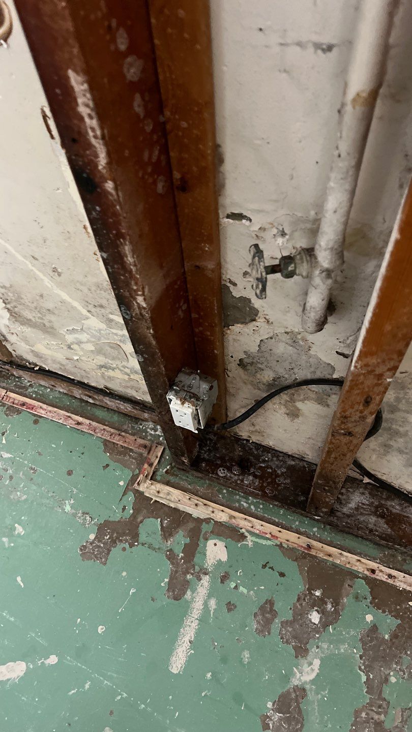 Mold Remediation by Accountable Home Services