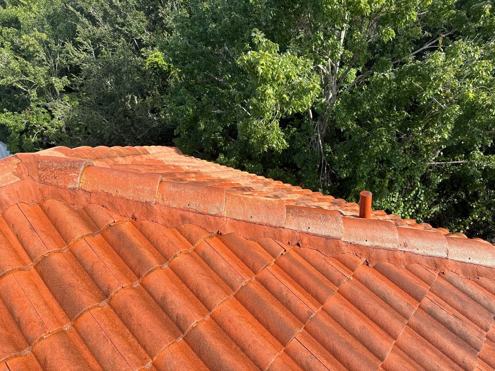 Soft Wash Tile Roof Cleaning in Sonoma Community, Sarasota, FL by Sunshine AquaWash
