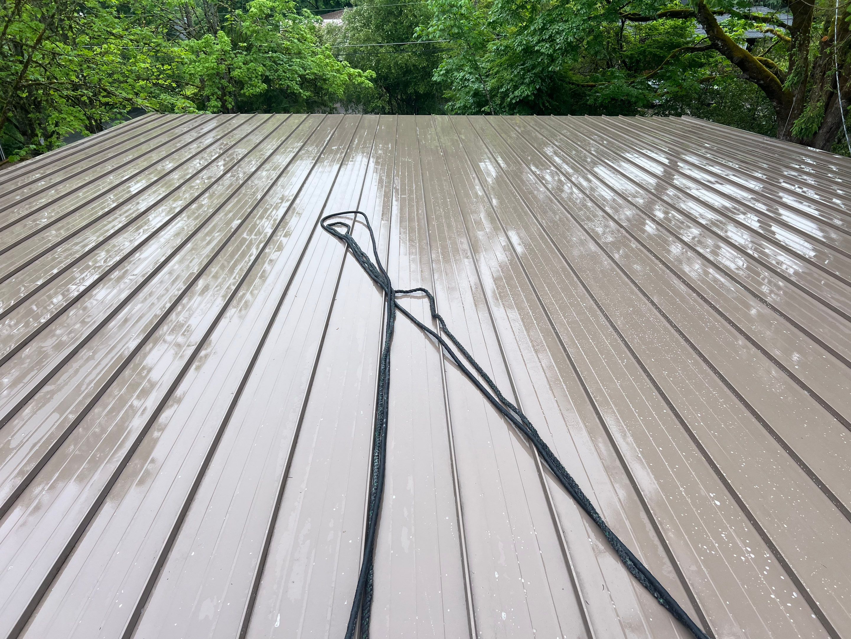 Roof Cleaning in Portland by Prodigy Roof Solutions