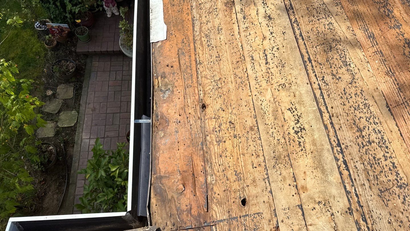 Willa Holmstock by NuLead Construction Inc